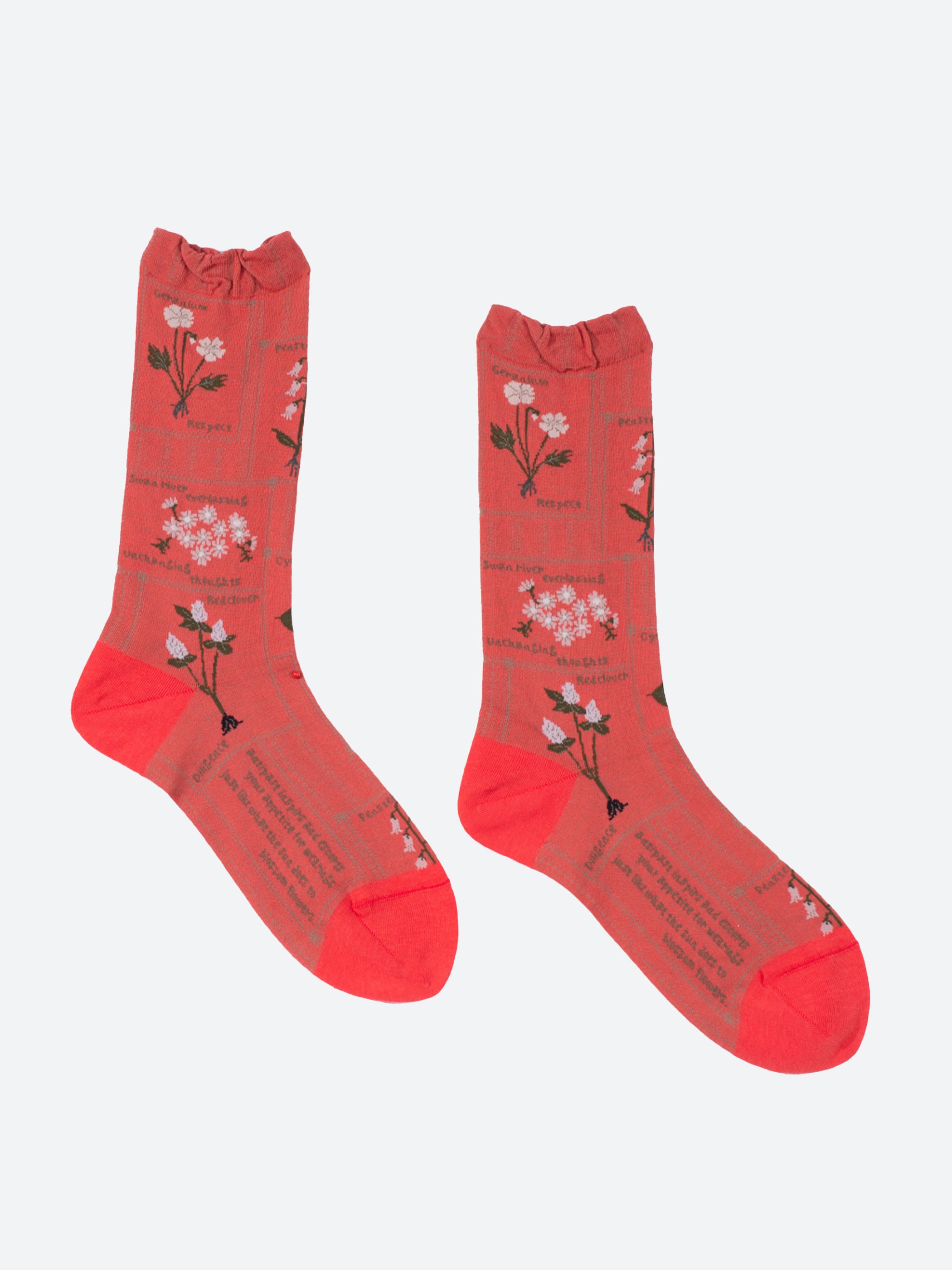 Botanical Xiii Crew Sock