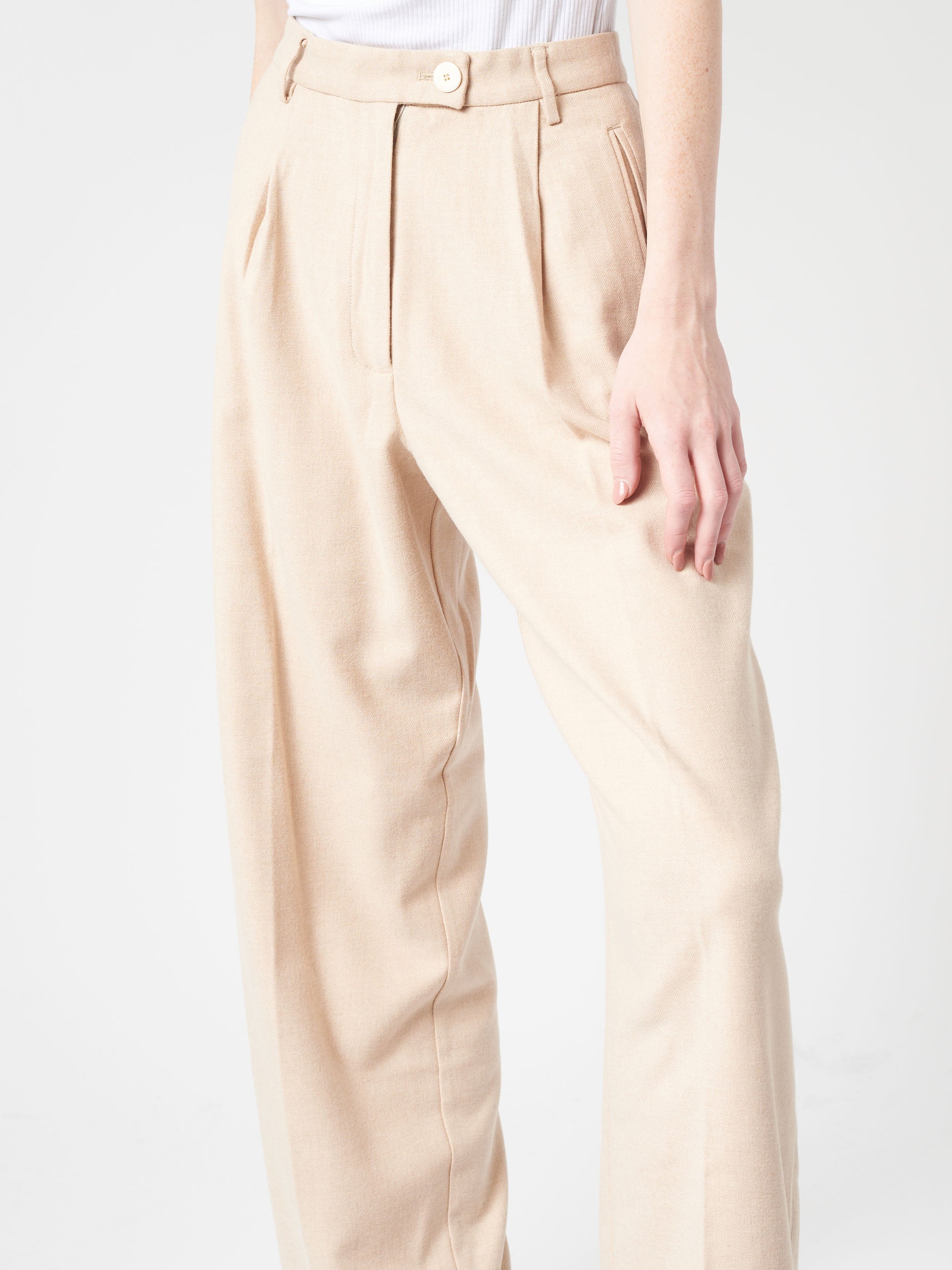 Pleated Trousers