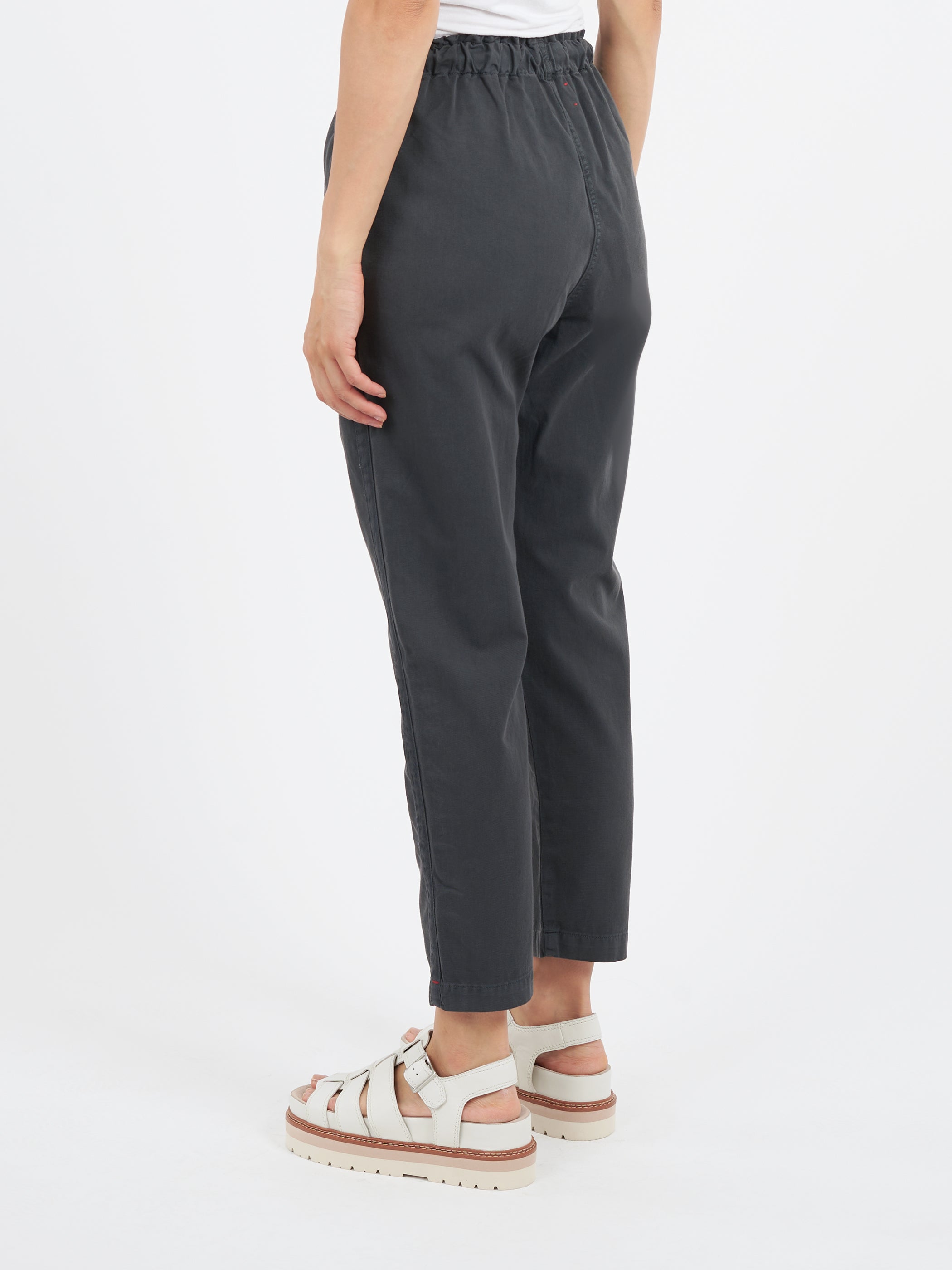 Rex Pant