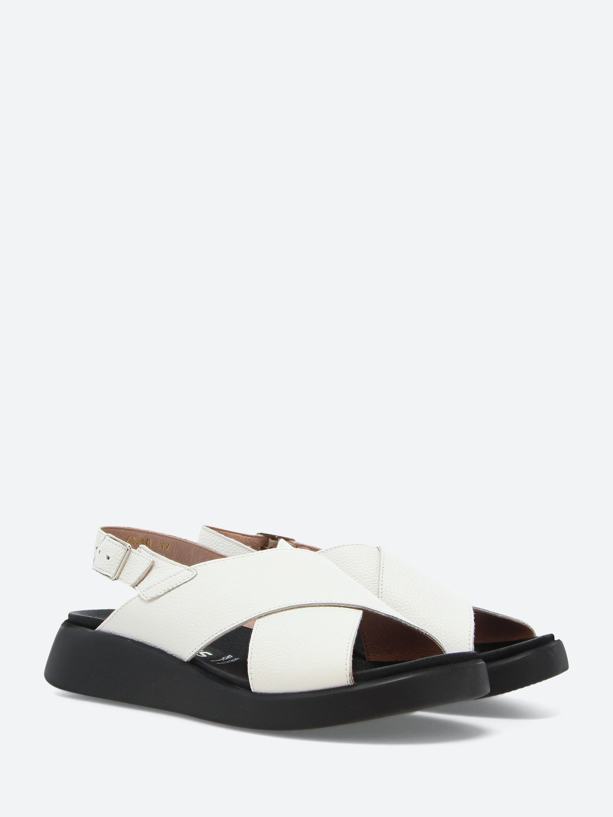 C-6540 Sandals