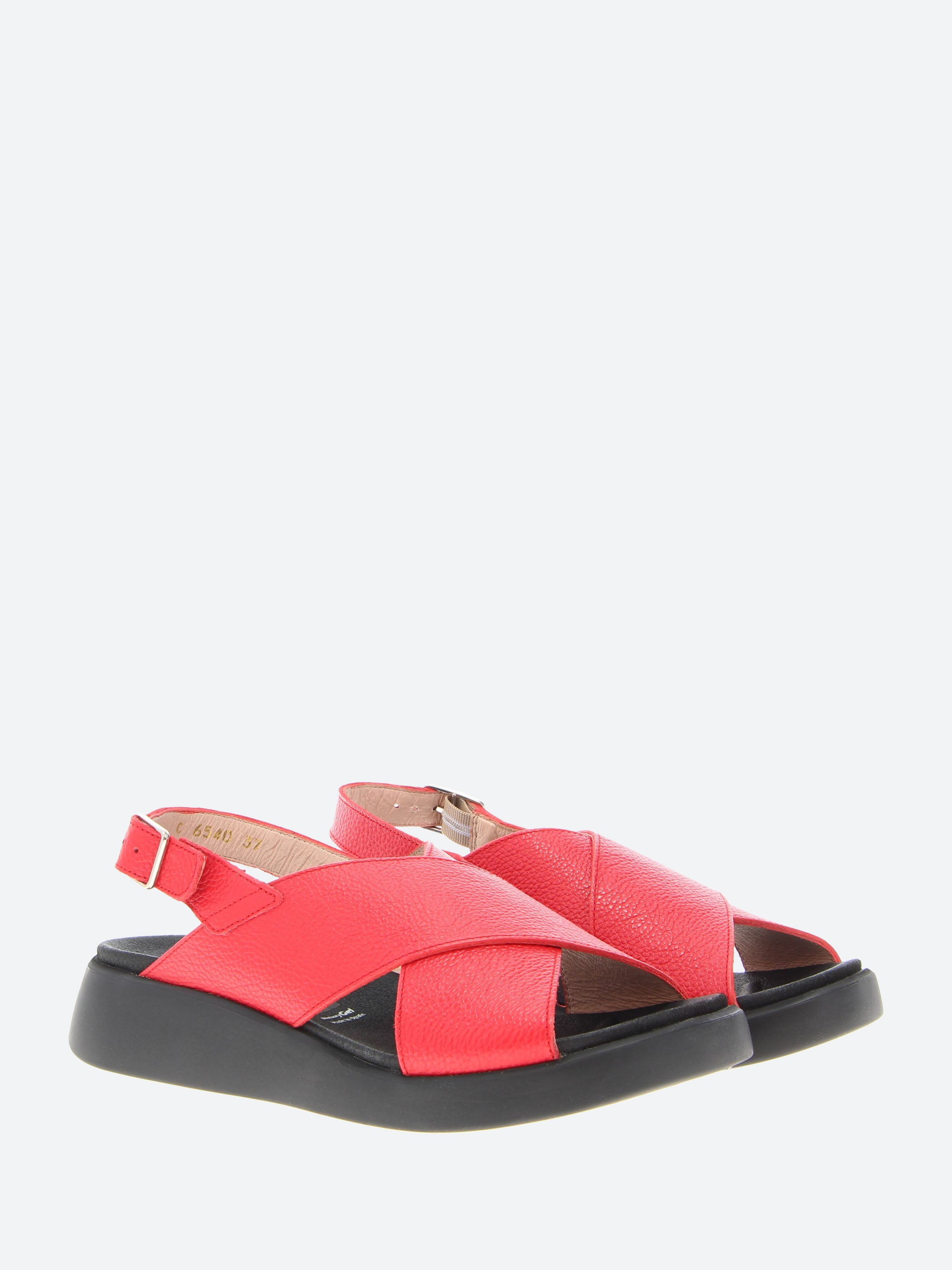 C-6540 Sandals