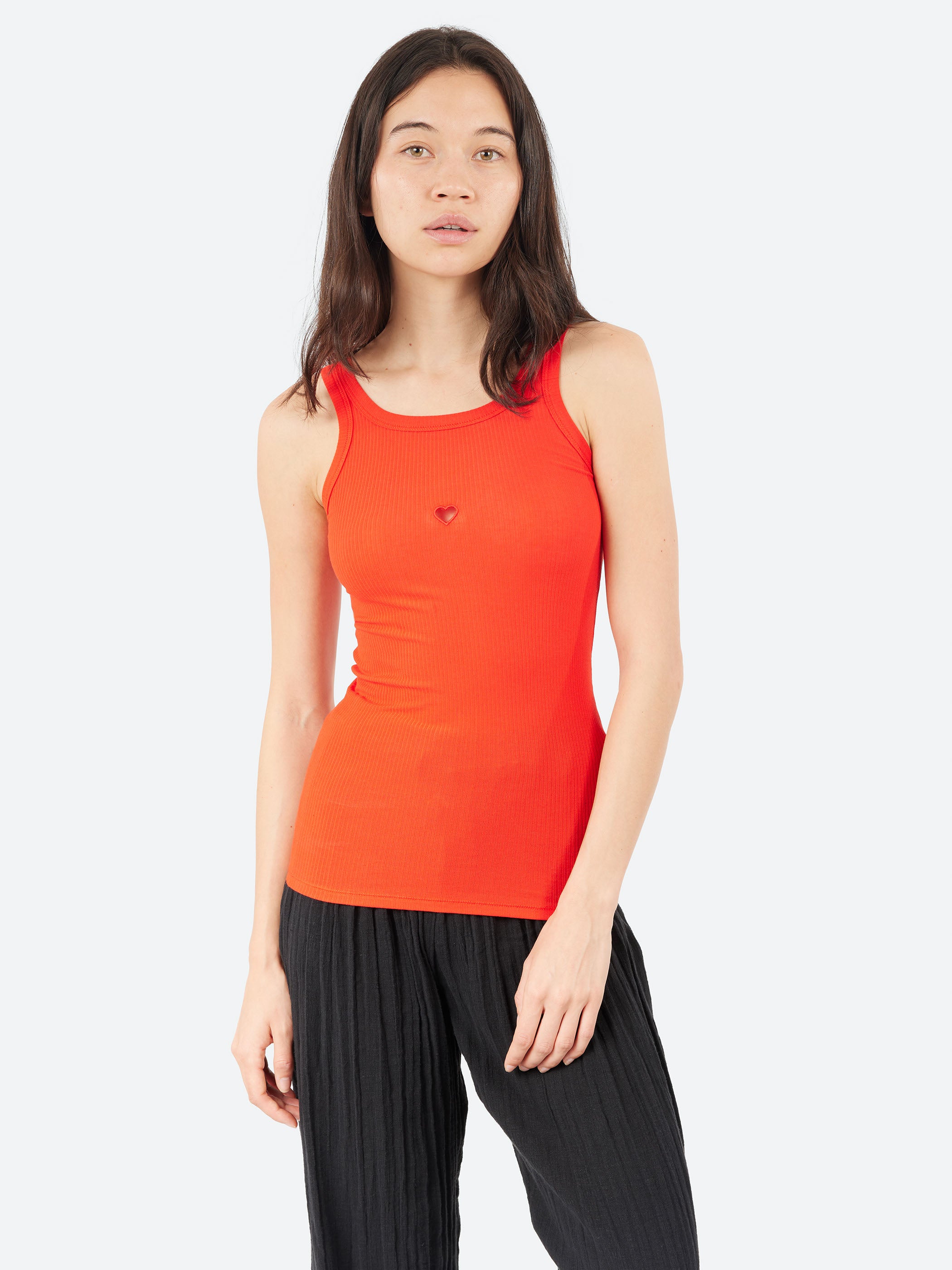 Heart Tank