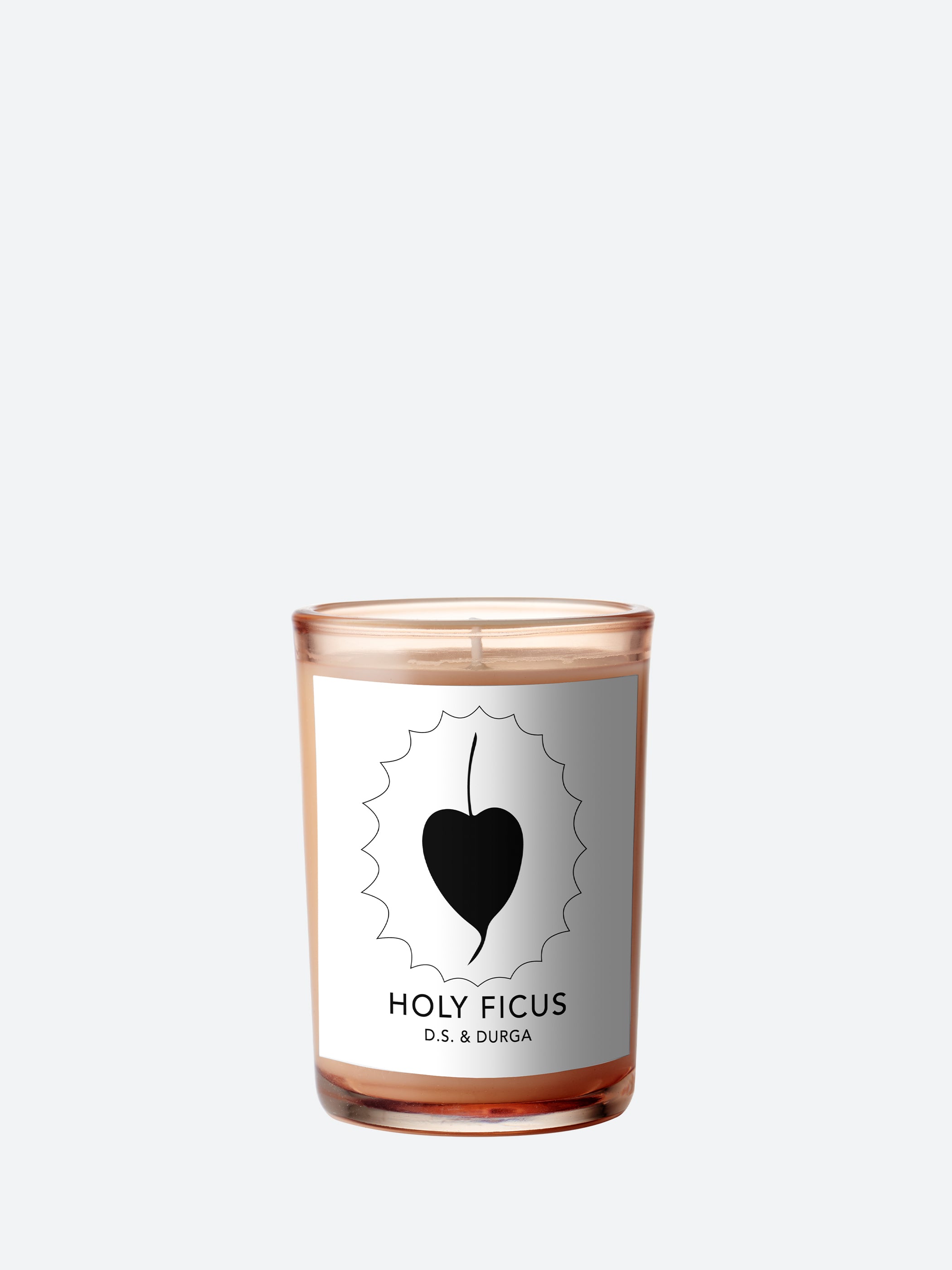 Holy Ficus Candle