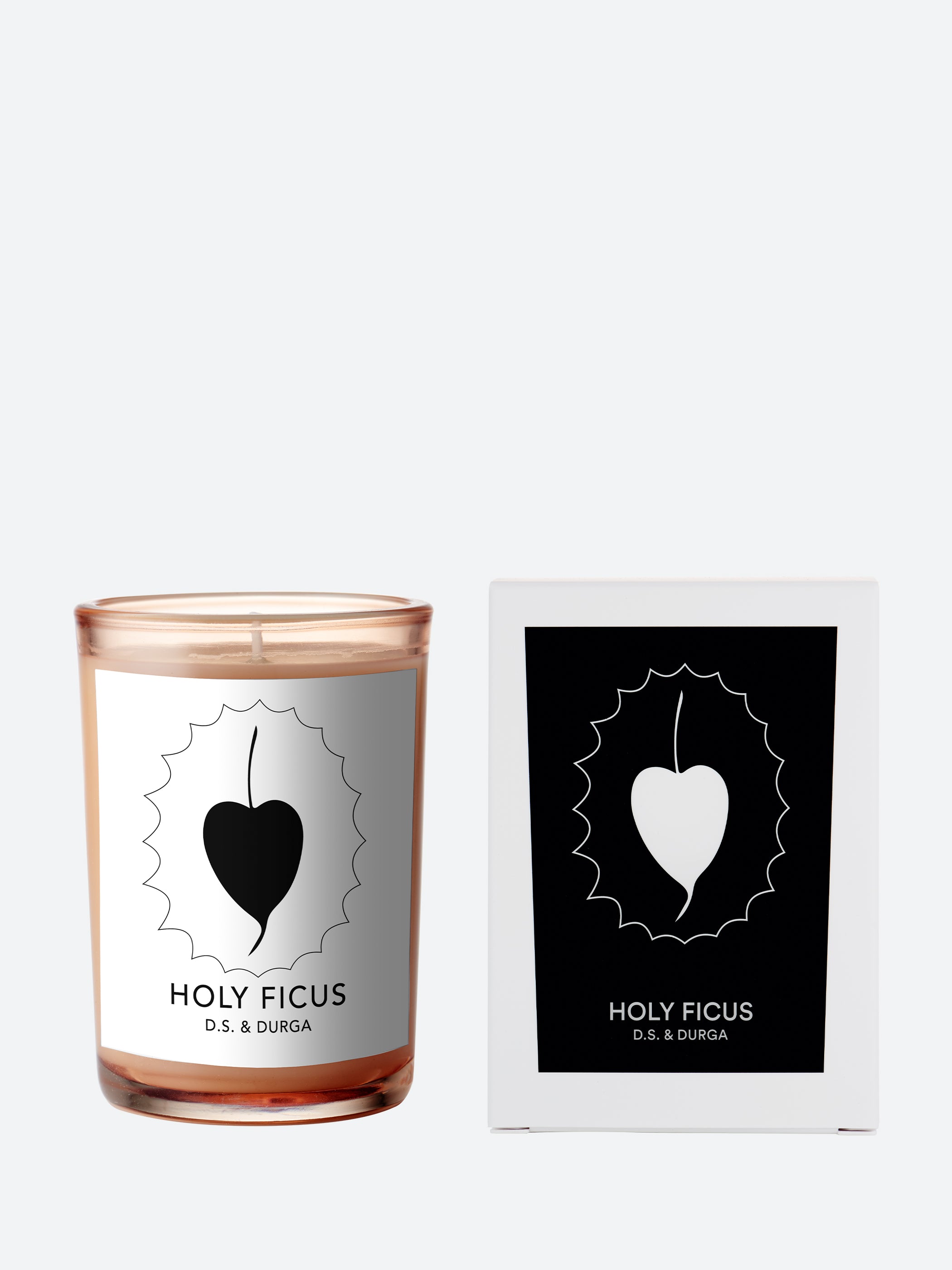 Holy Ficus Candle