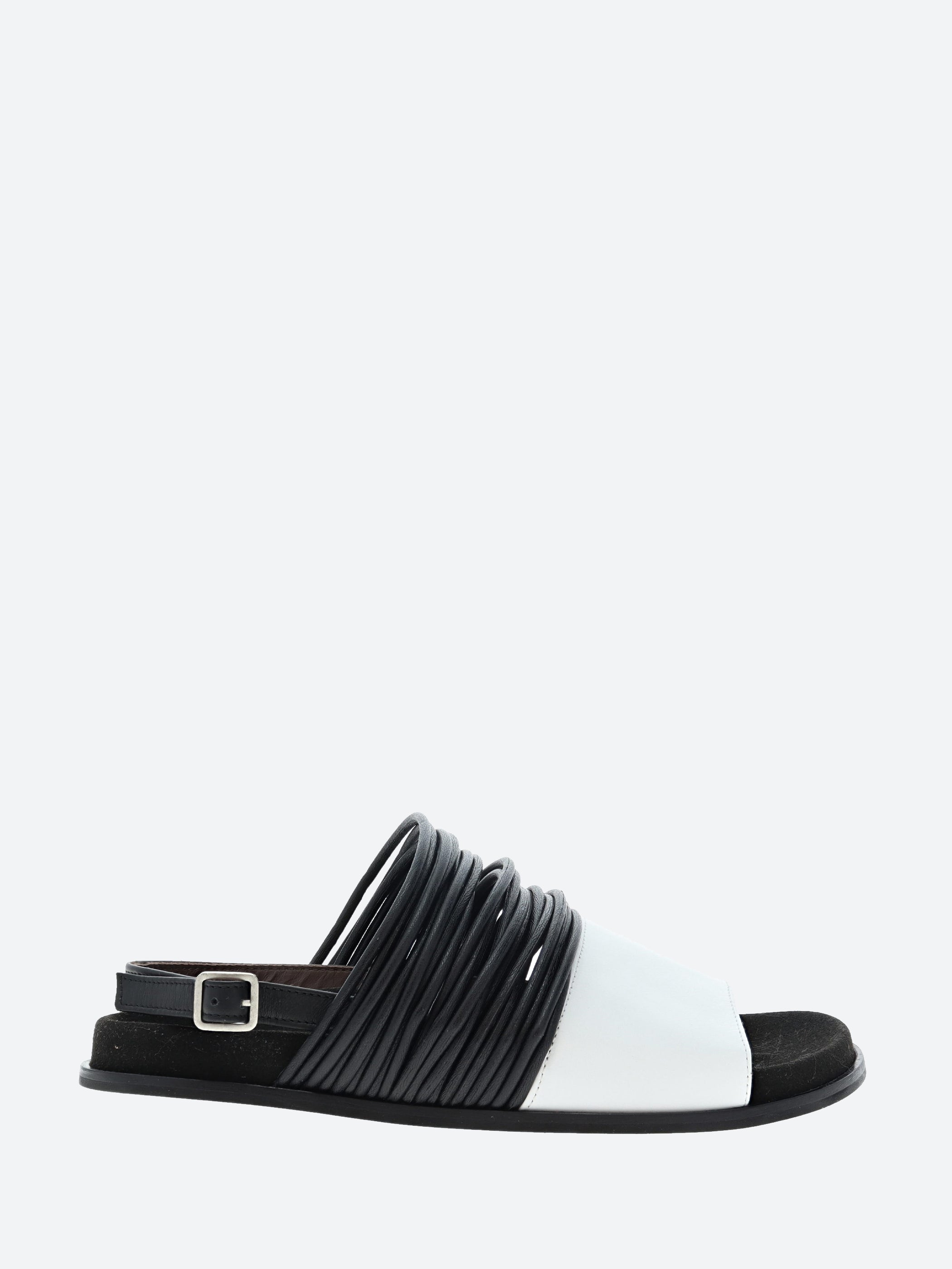 Timmy Sandal