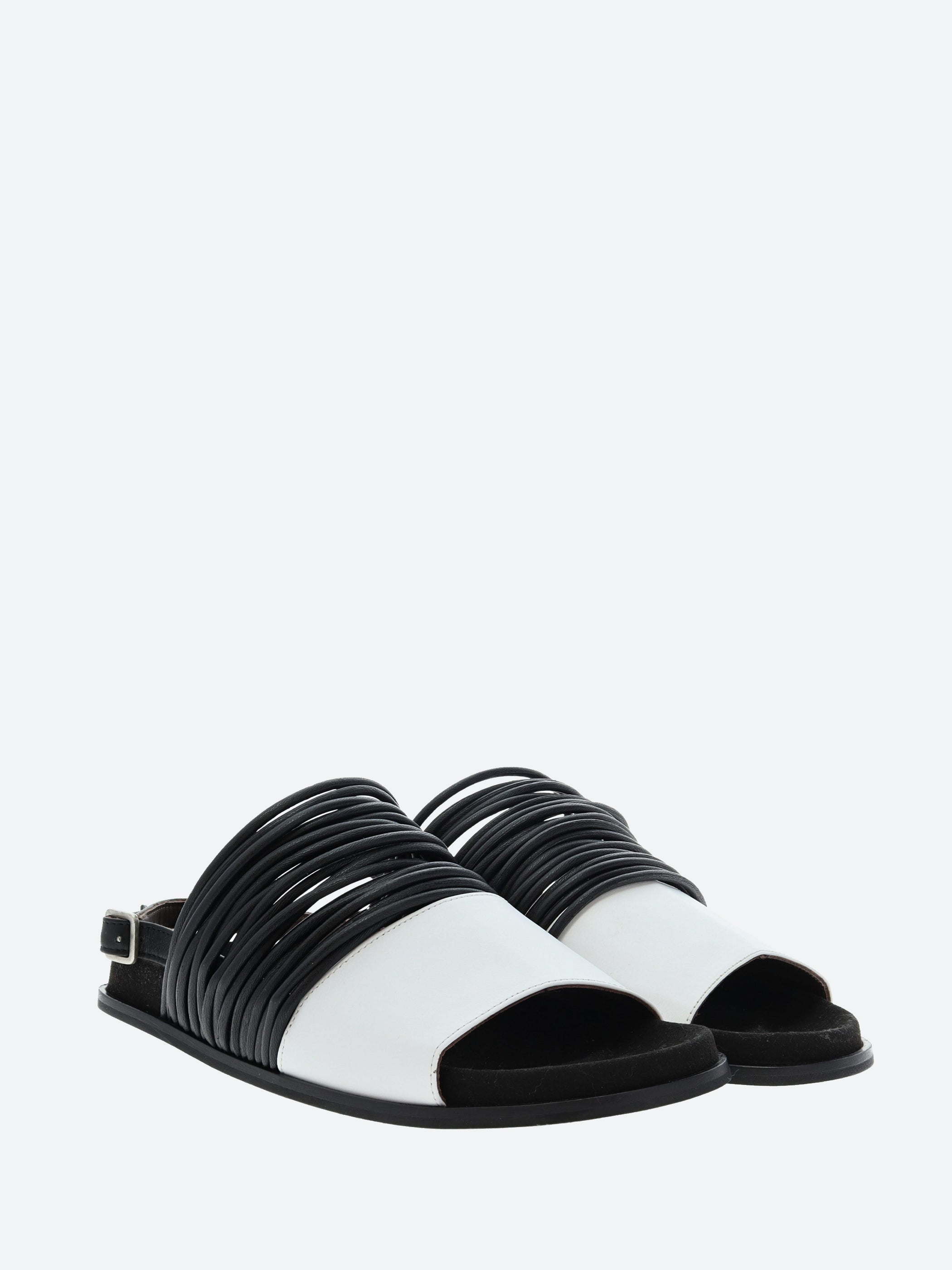 Timmy Sandal