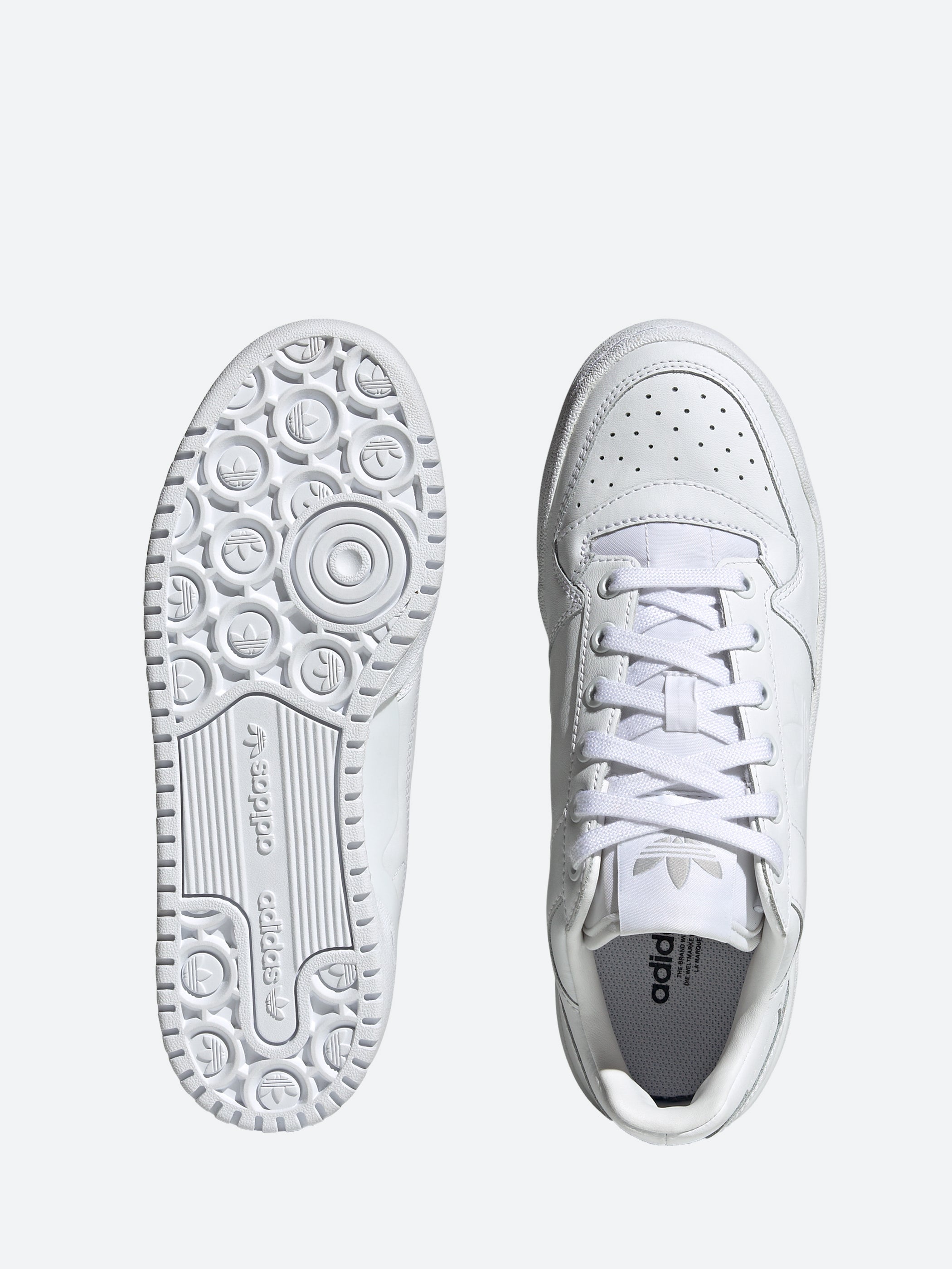 Forum Bold W