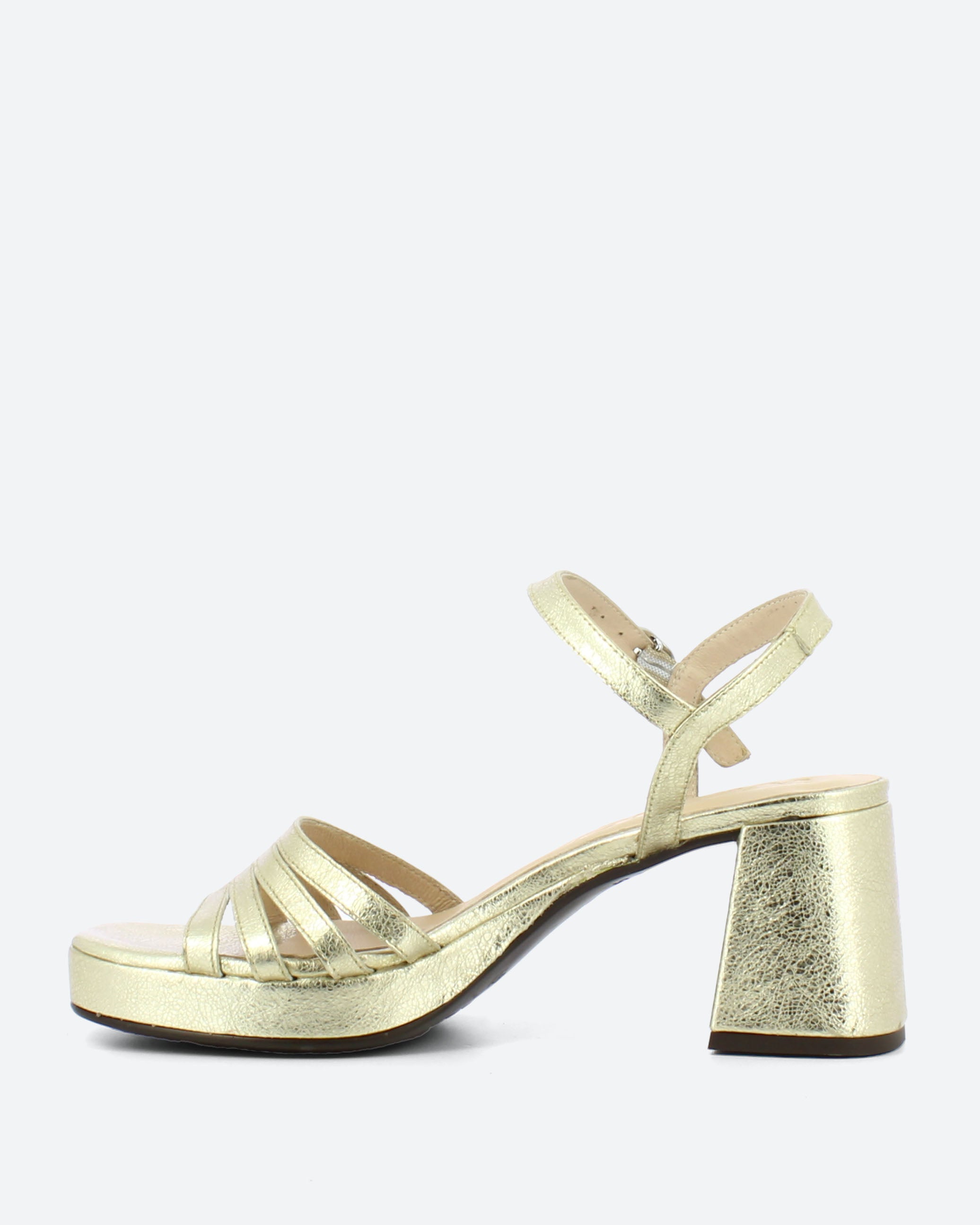 G-6801 Heel