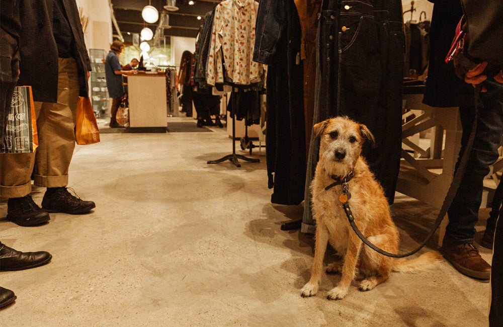 Edmonton Tailored Goods Grand Opening