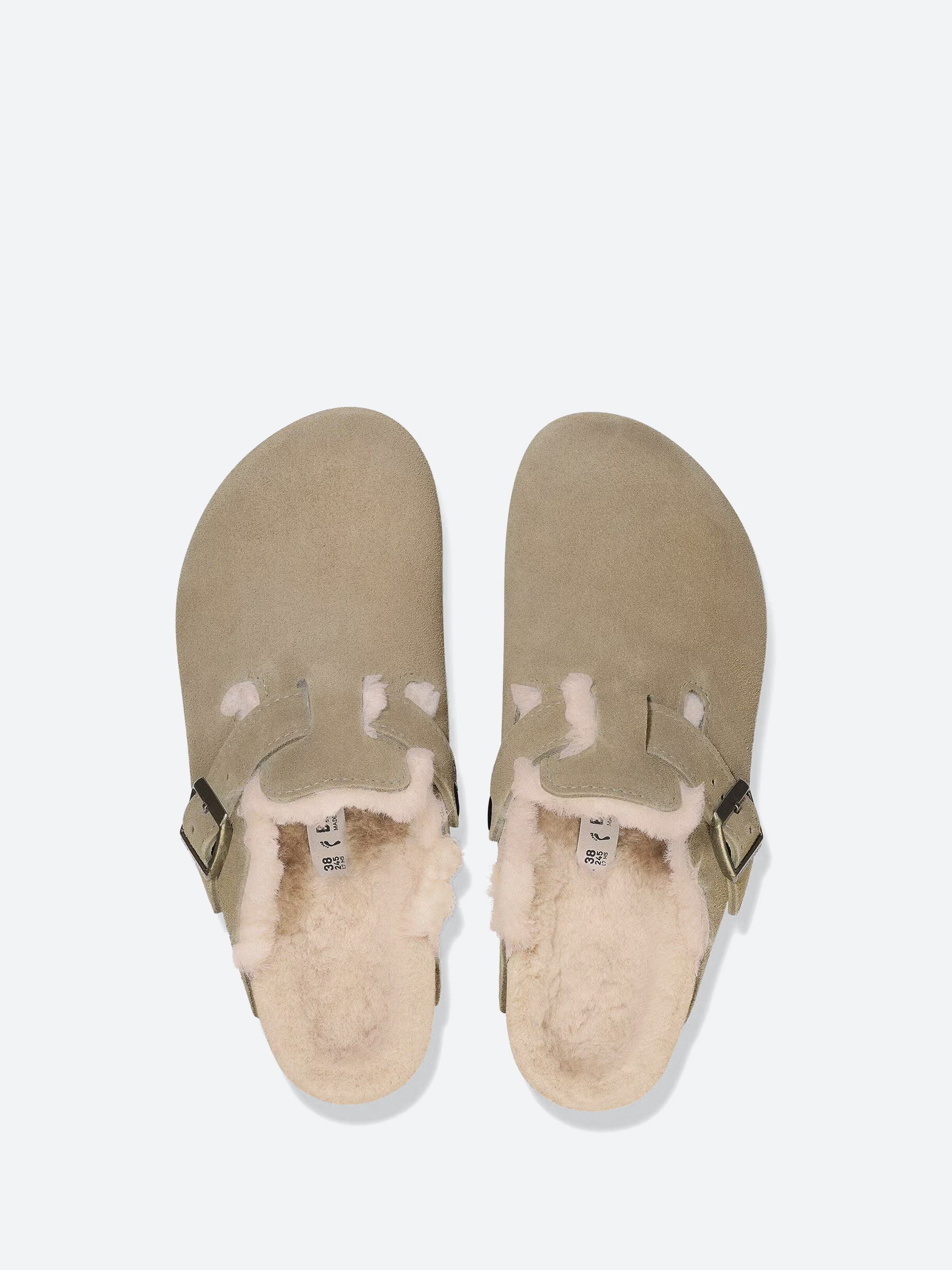 Boston Shearling (Narrow)
