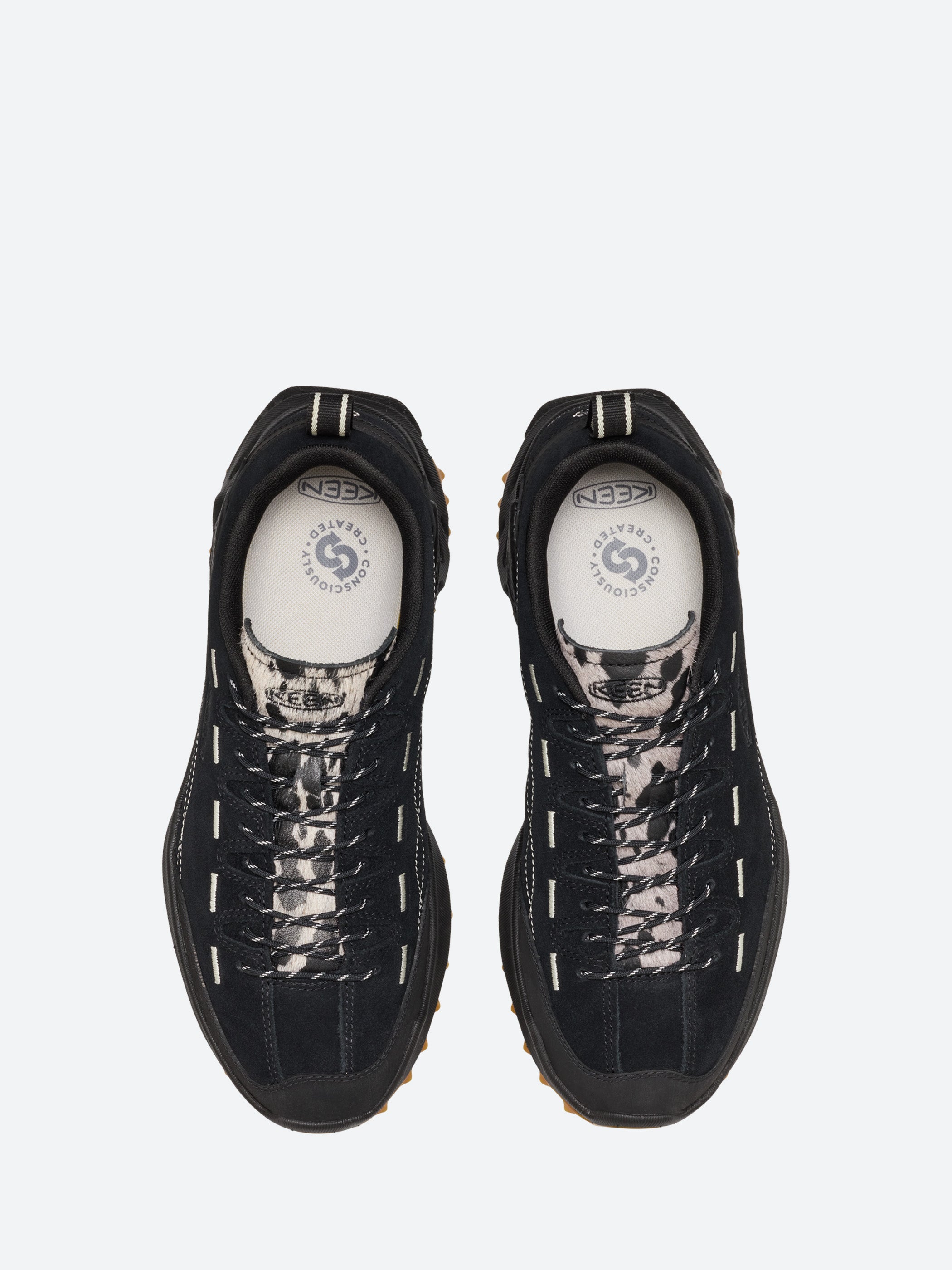 Men's Jasper Zionic