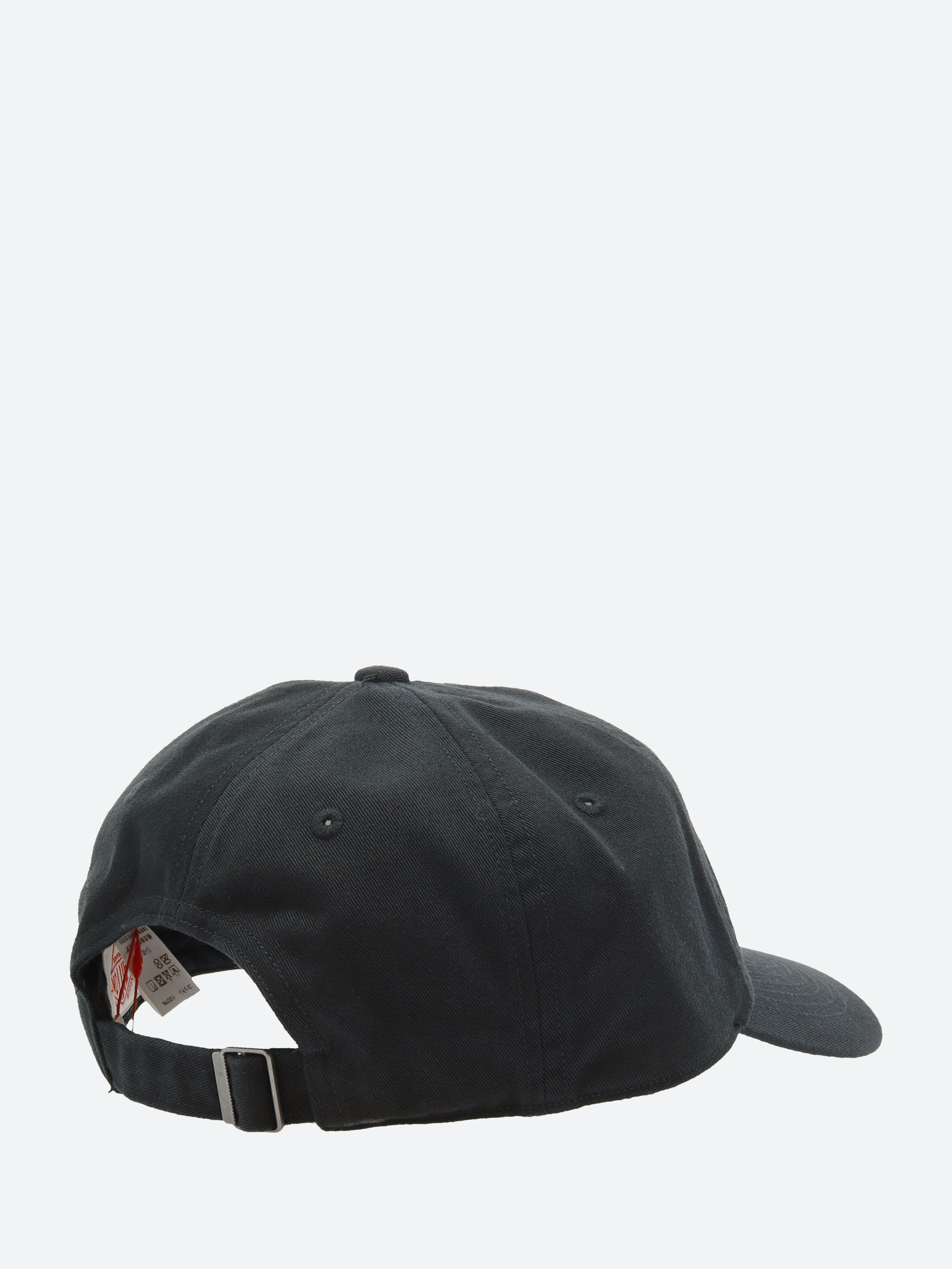 6 Panel Cap