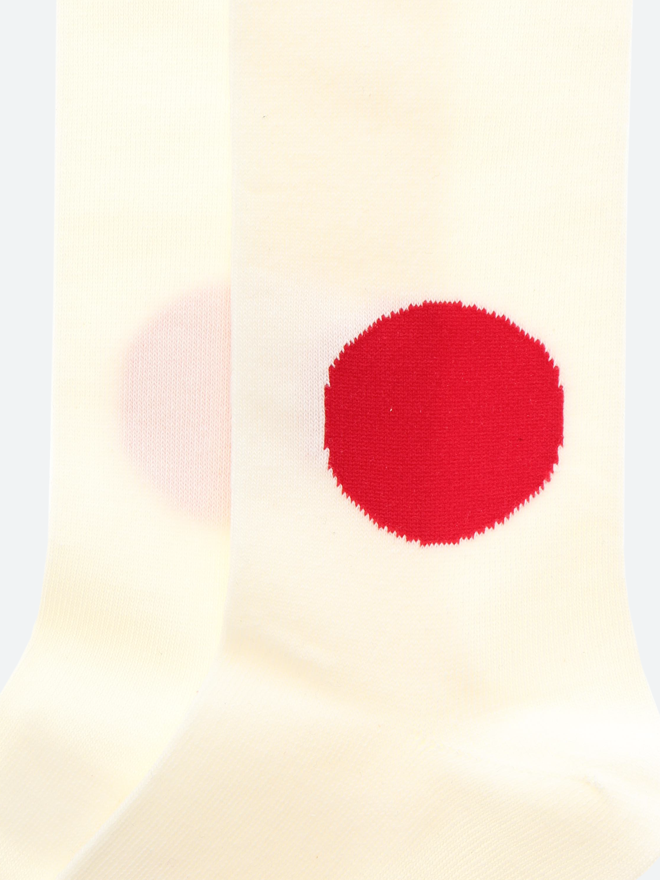 Japan Flag Sock