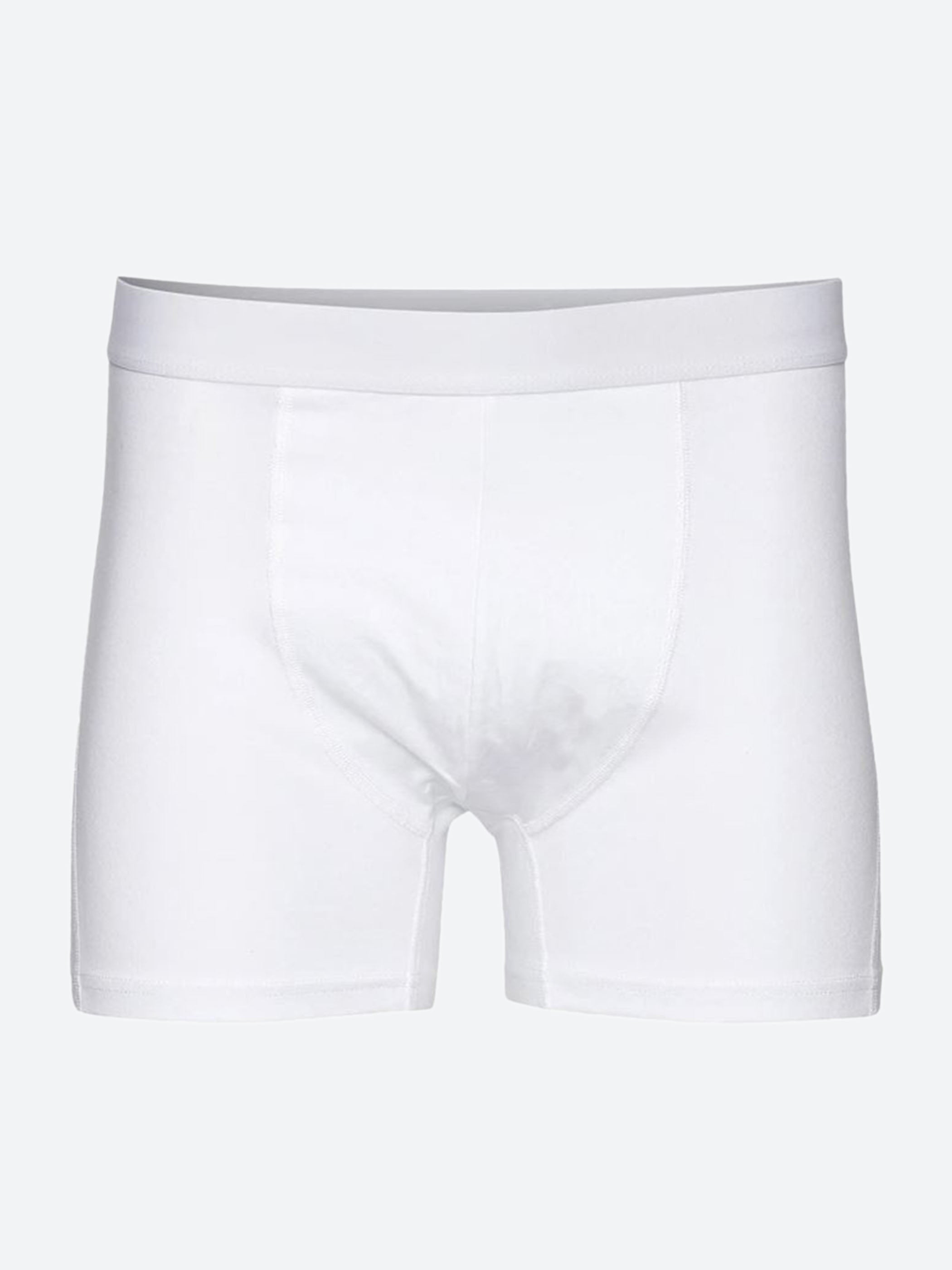 Classic Organic Boxer Briefs