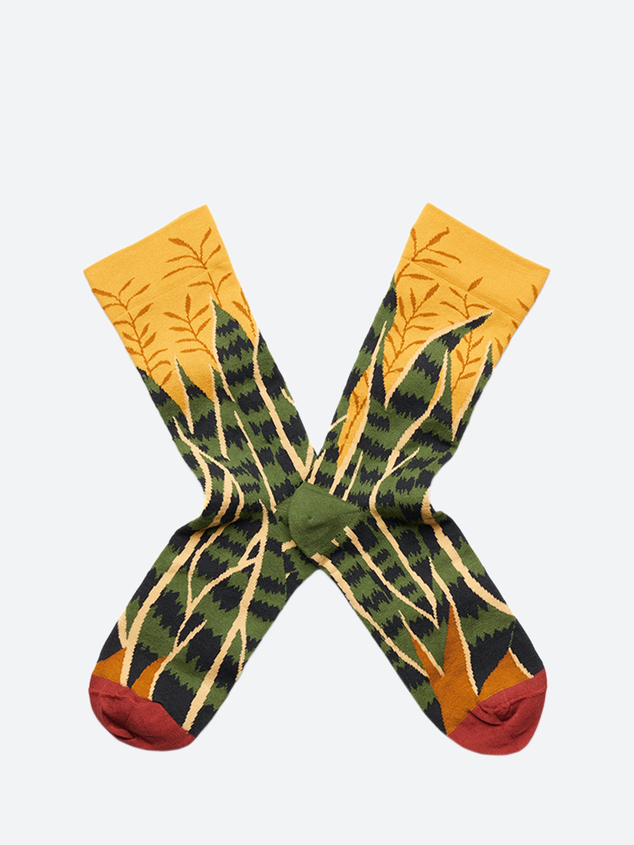 Buttercup Snake Plant Sock