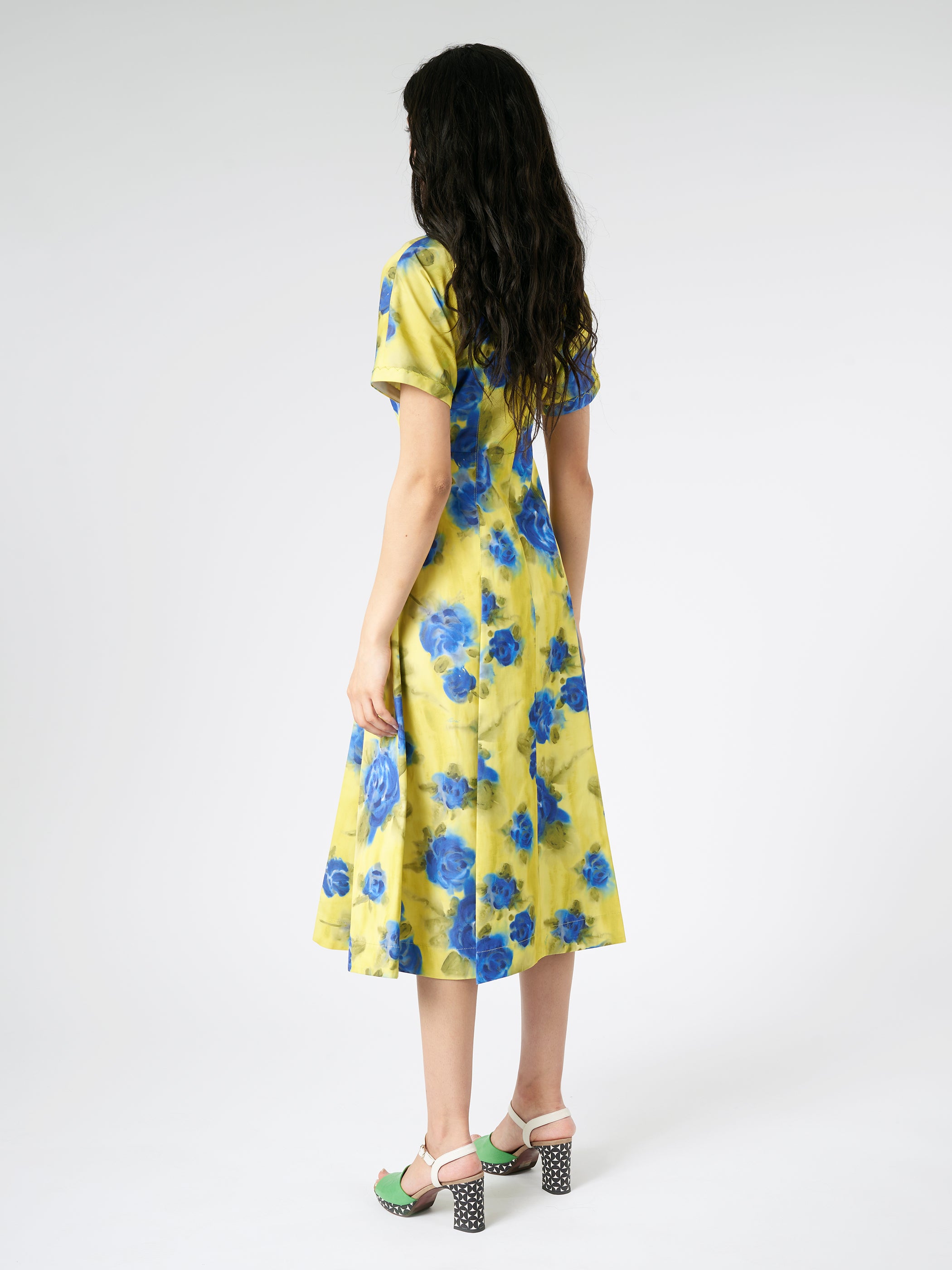Taffeta Midi Dress with Idyll Print