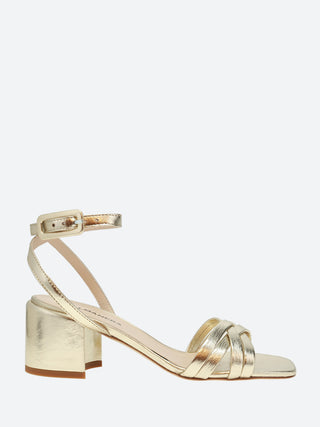 Halmanera Abby 39