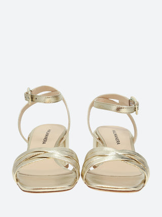 Halmanera Abby 39