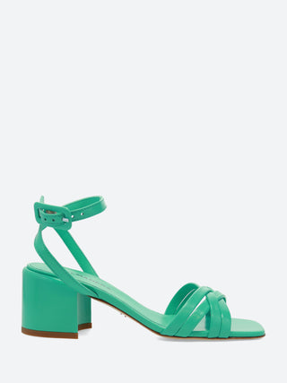 Halmanera Abby 39
