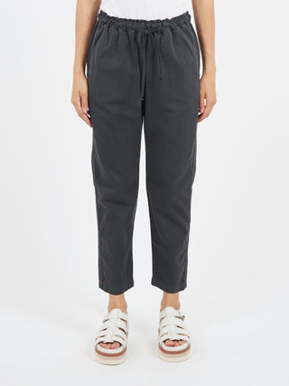 Xirena Rex Pant