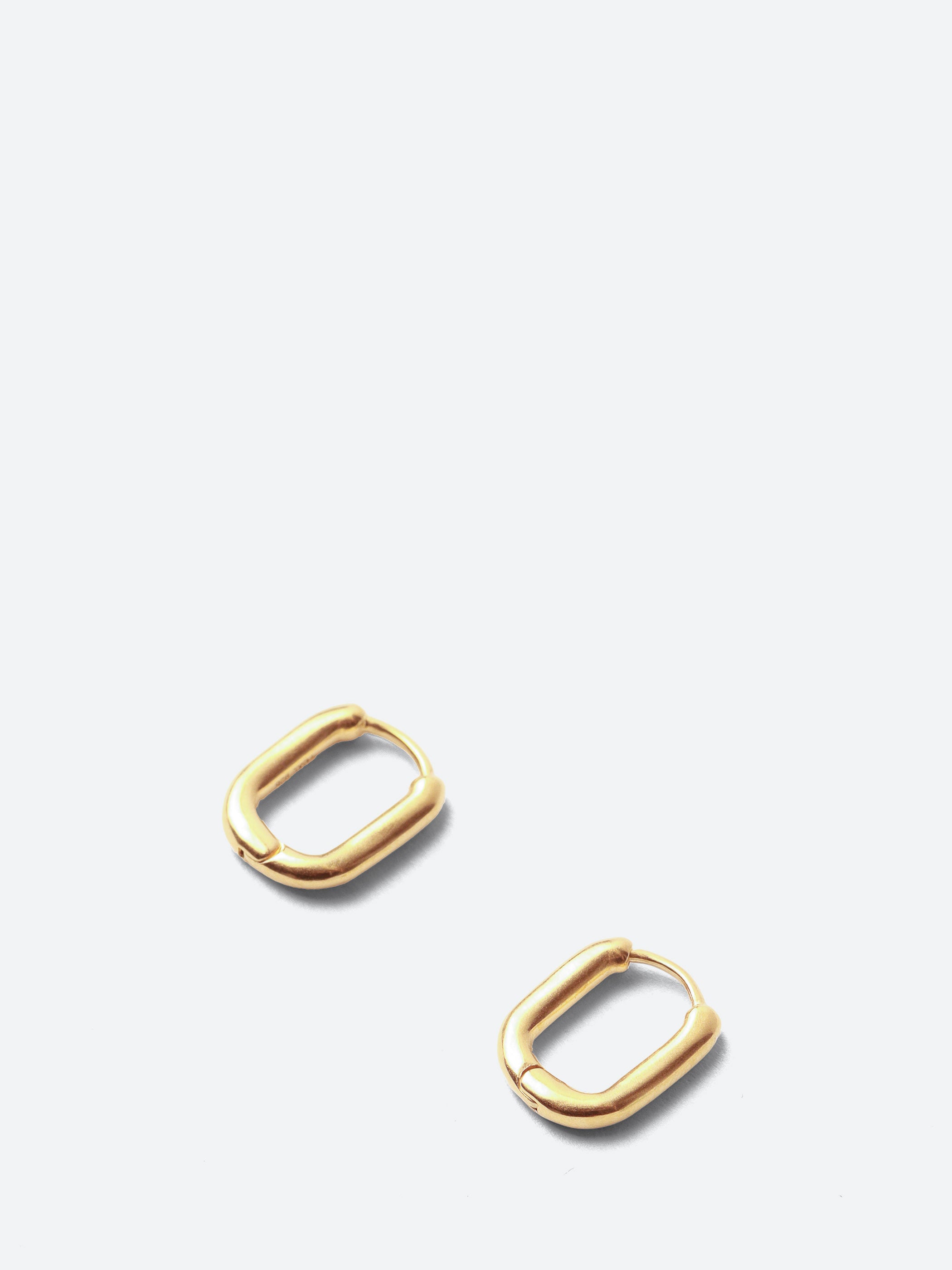 Oblong Earrings