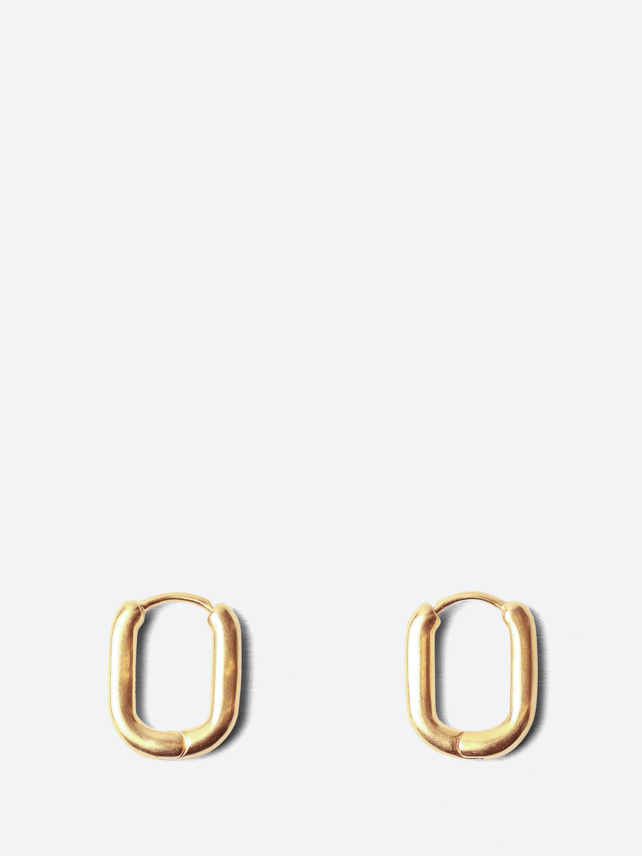Oblong Earrings