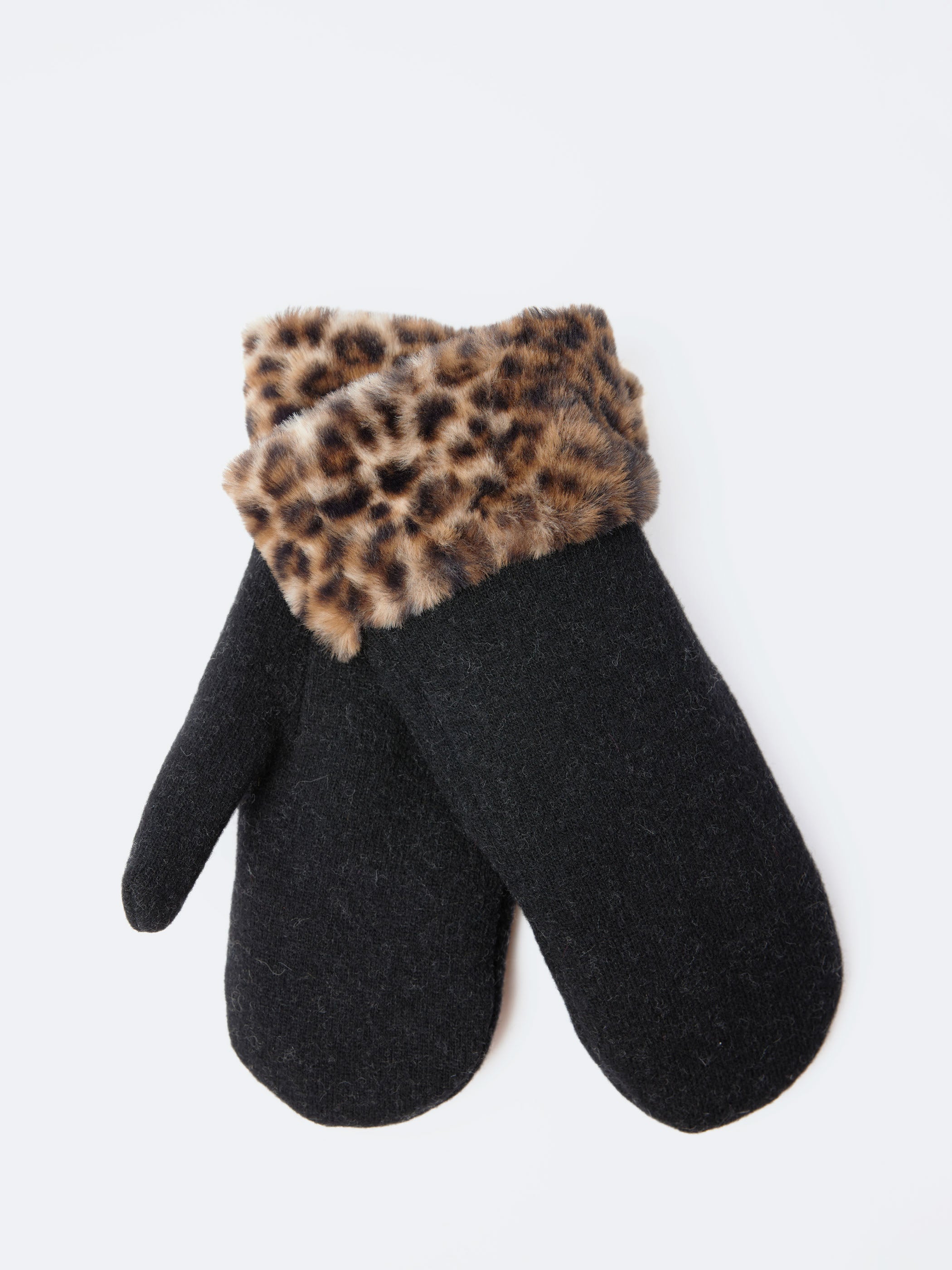 Renata Mitten