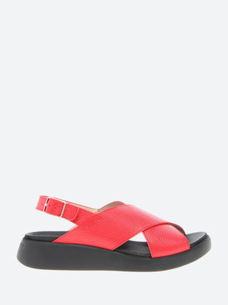 Wonders C-6540 Sandals