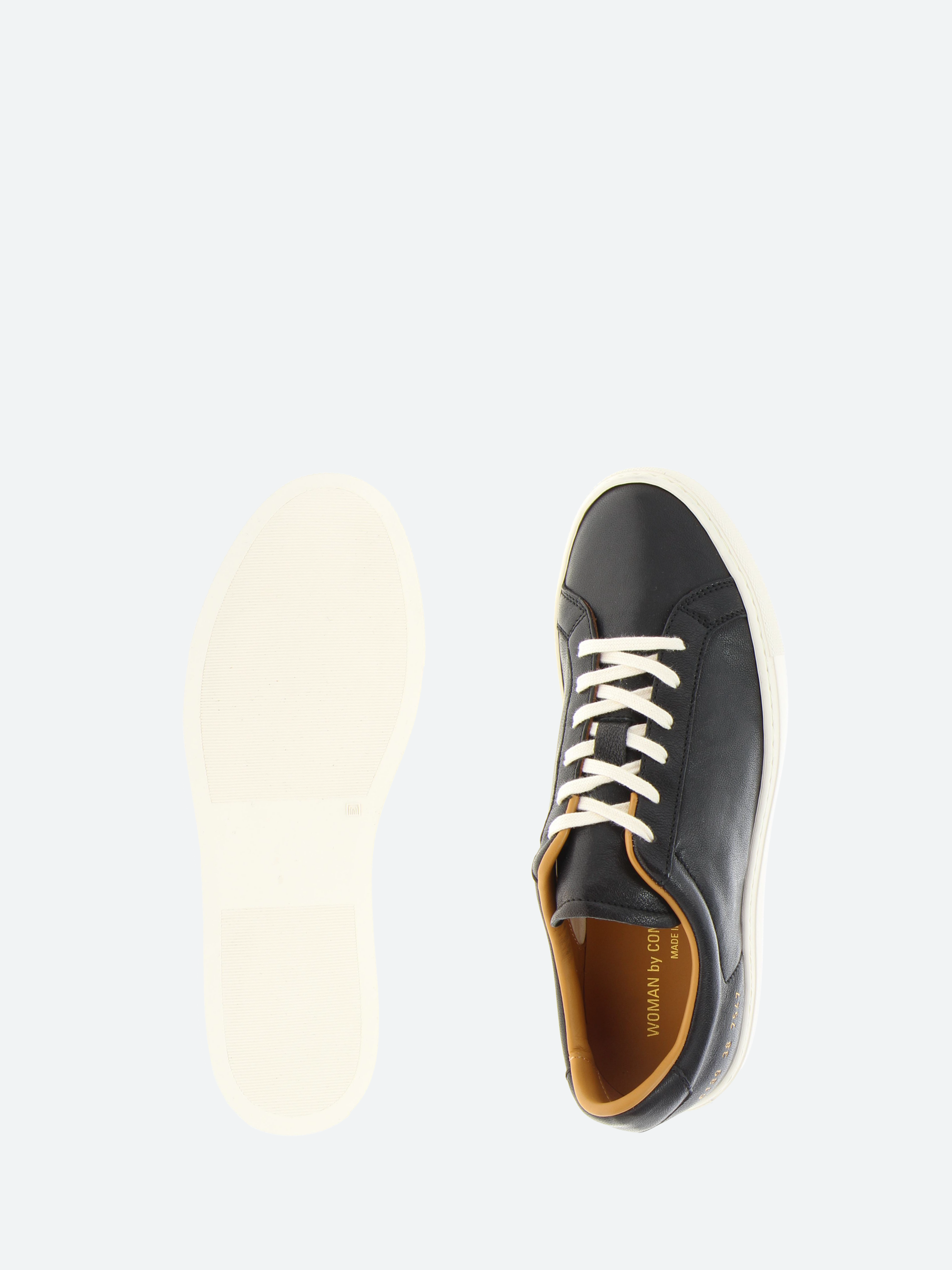 Retro Summer Premium