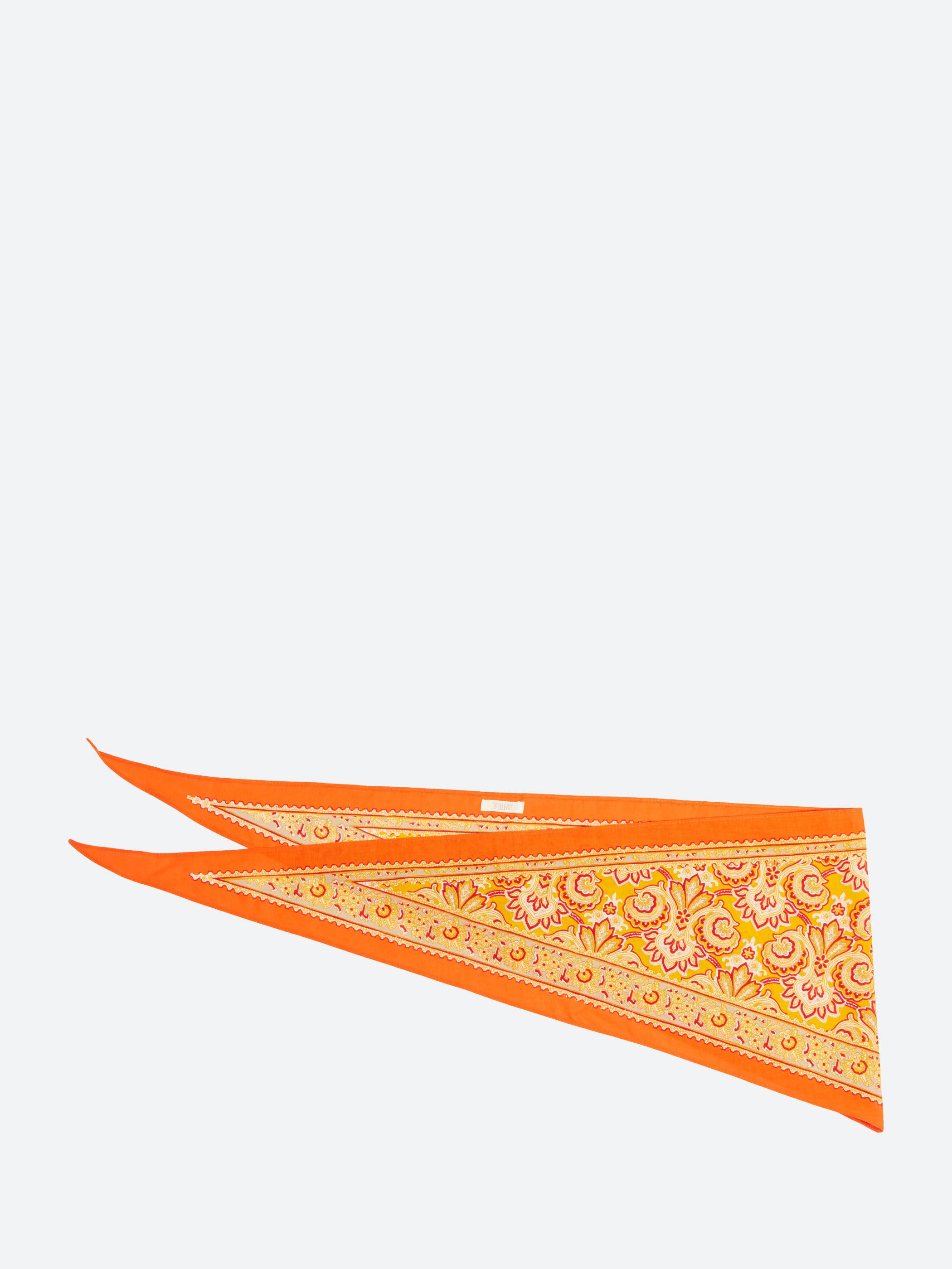 Paisley Print Bandana
