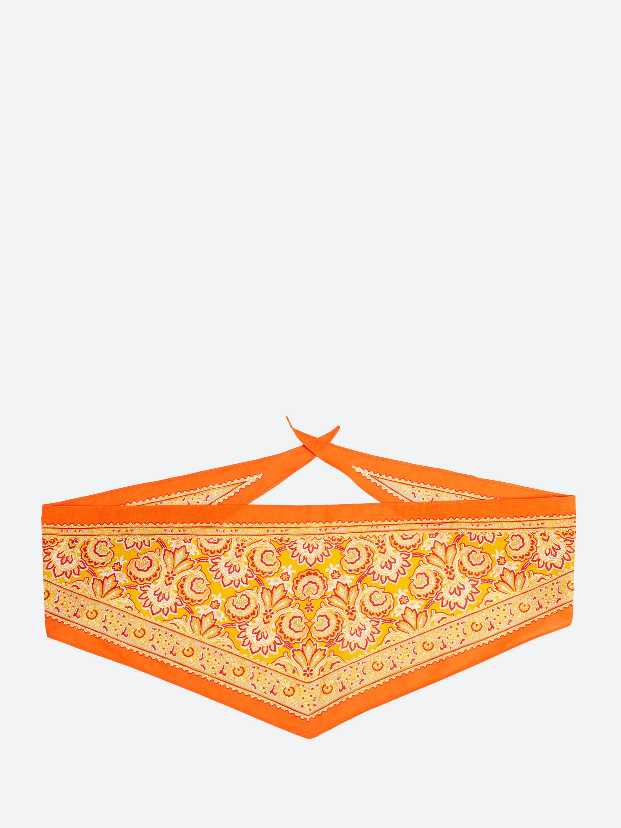 Paisley Print Bandana