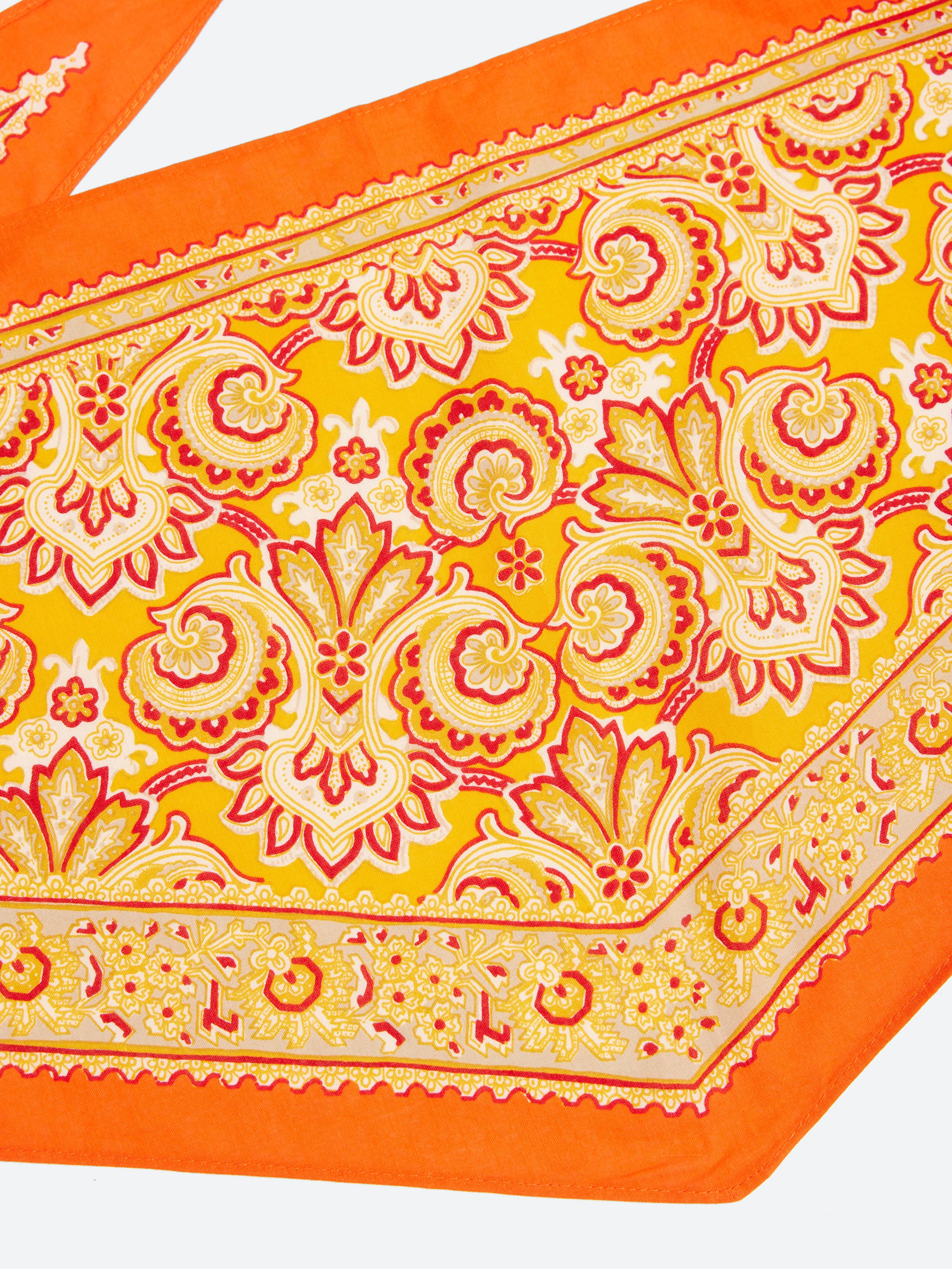 Paisley Print Bandana