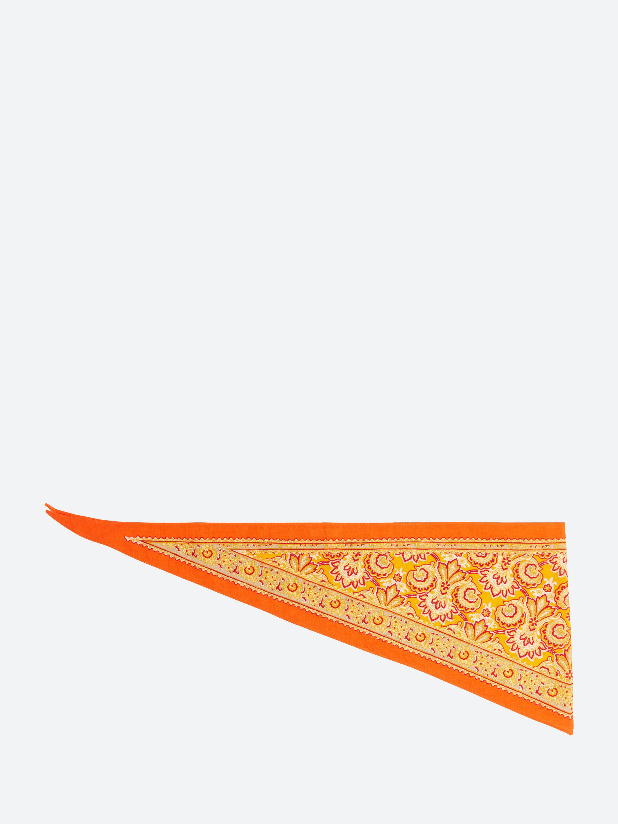 Paisley Print Bandana