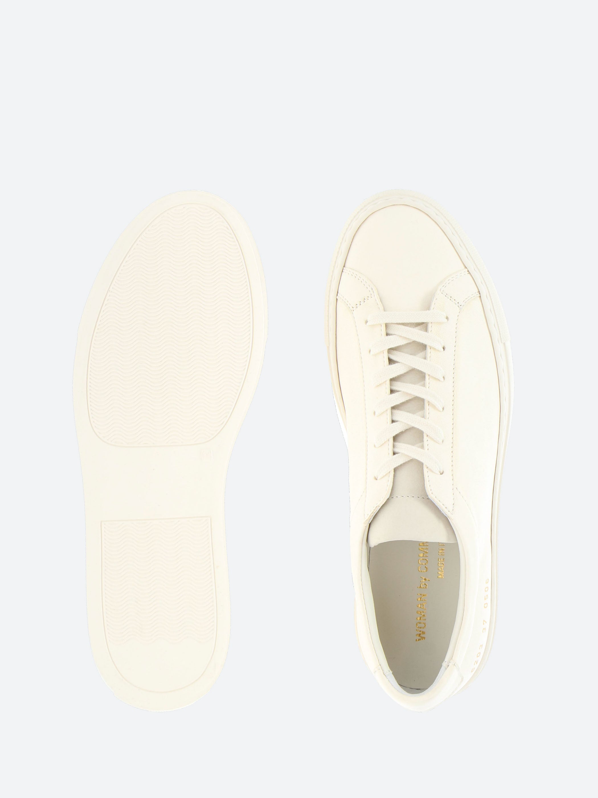 Achilles Premium