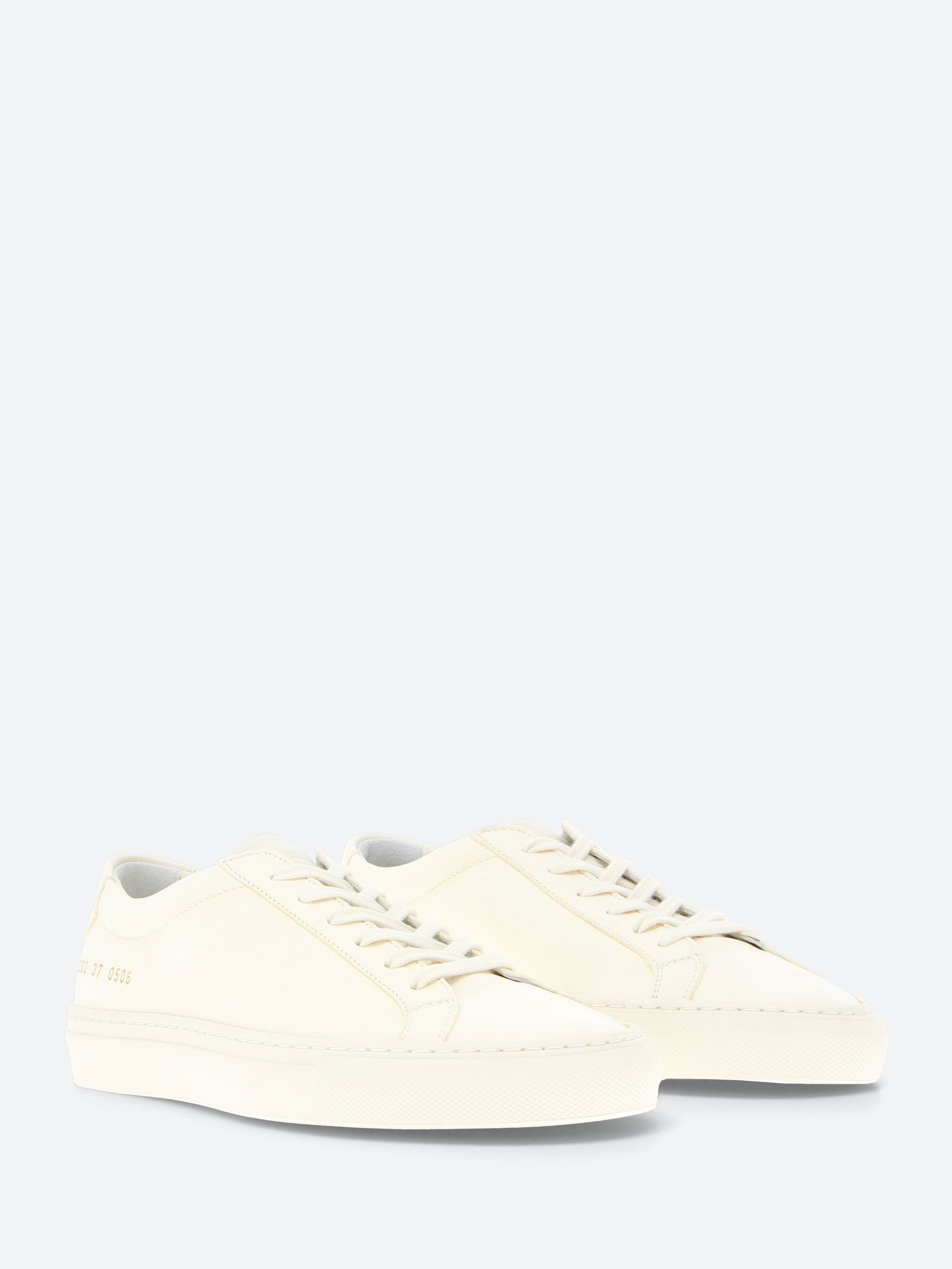 Achilles Premium
