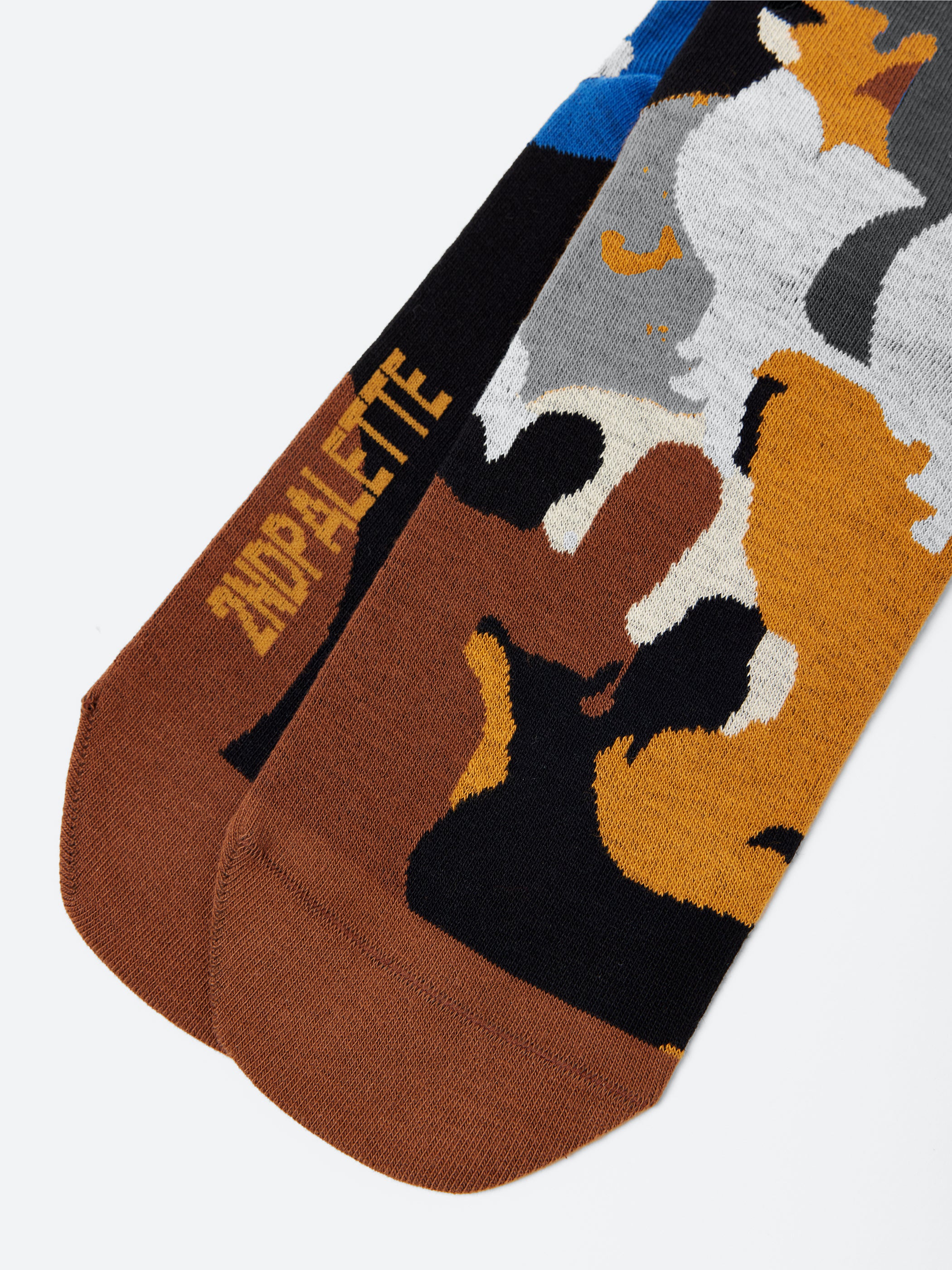 My Dog Socks