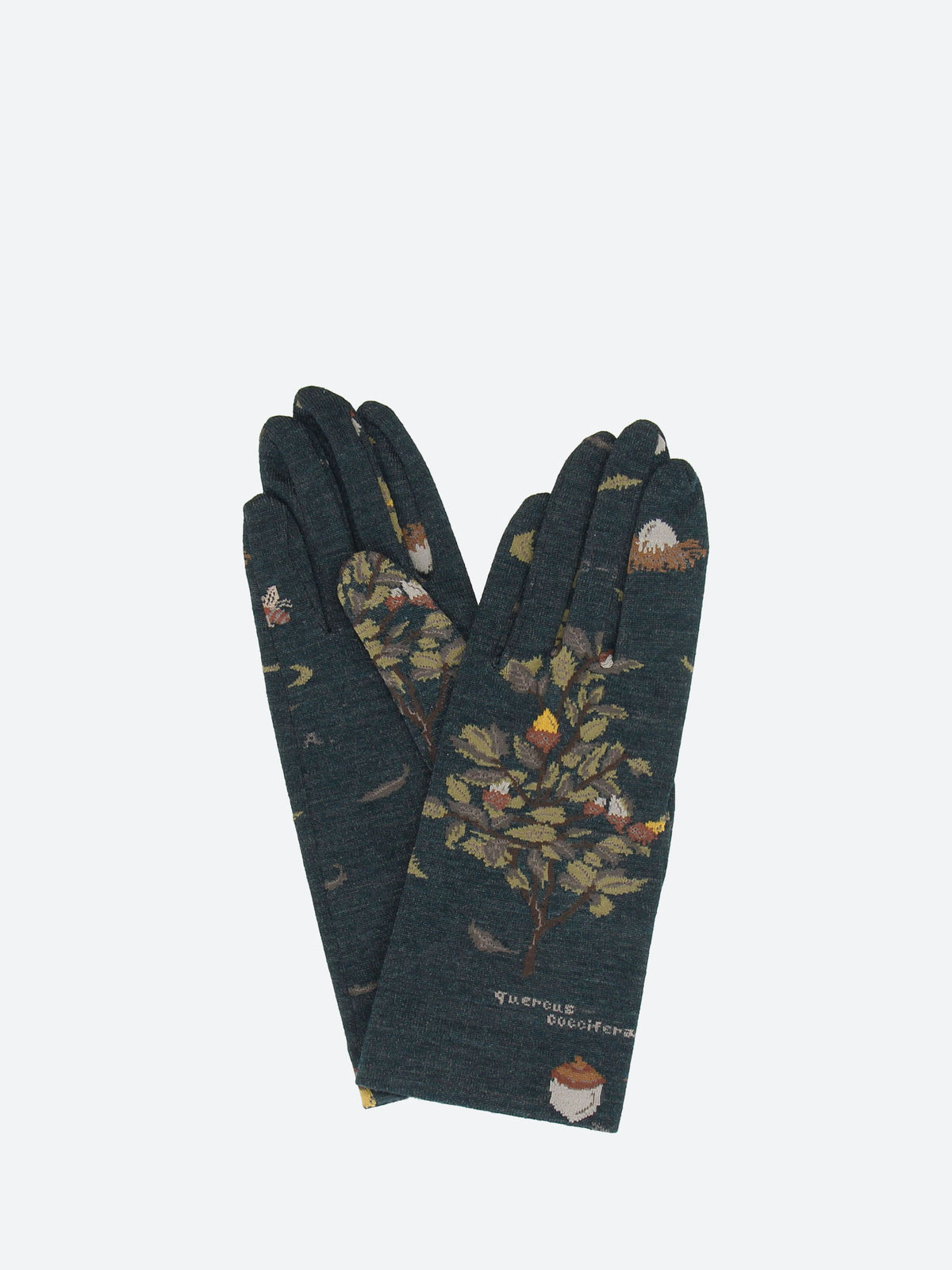 Wind and Acorn Gloves
