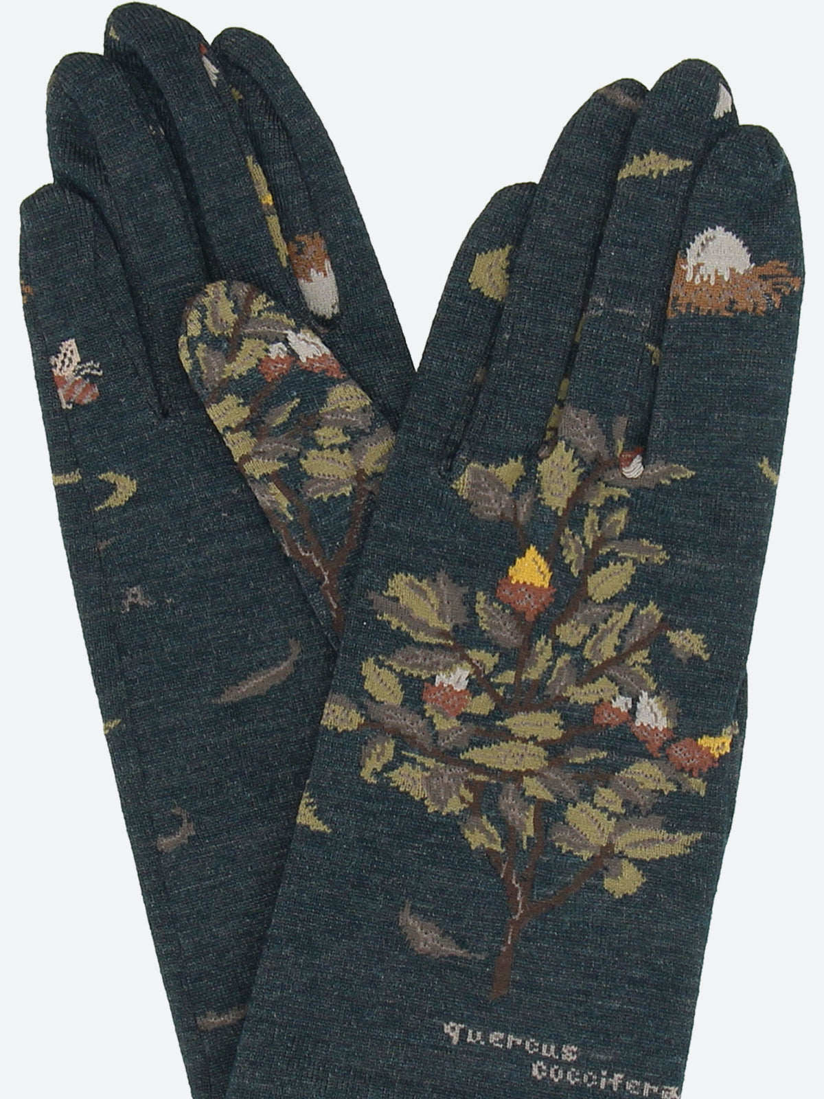 Wind and Acorn Gloves