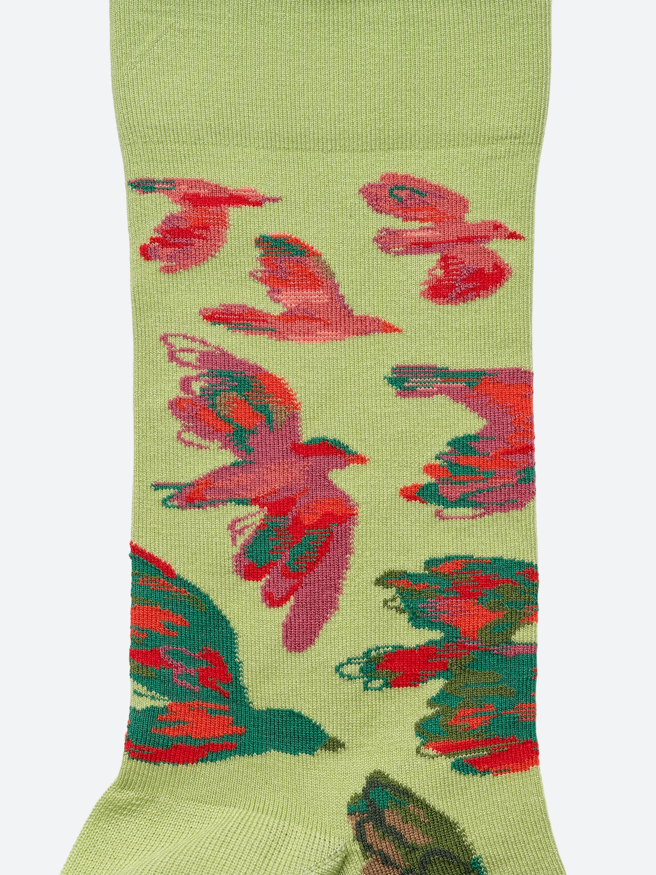 Lime Bird Socks