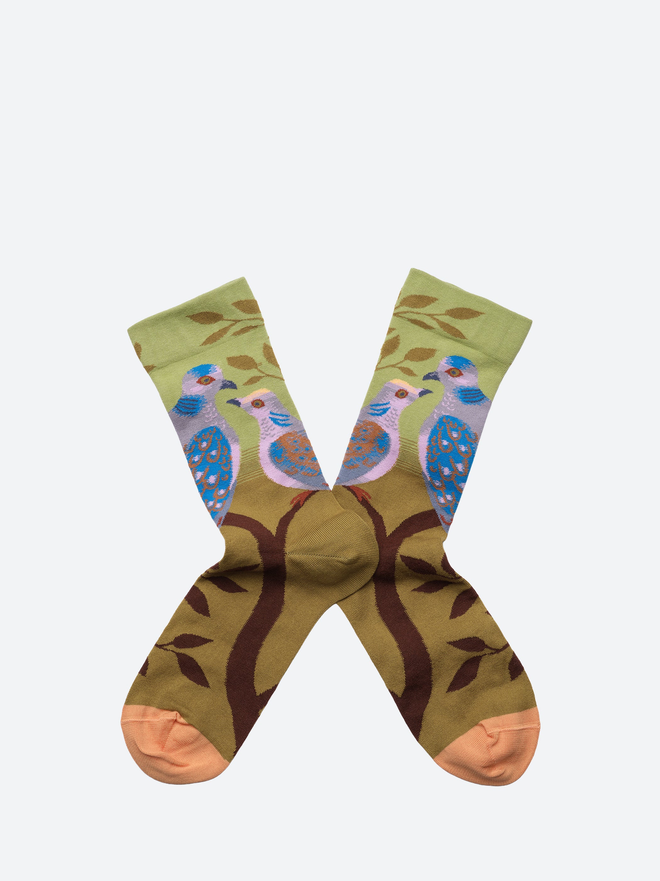 Paris The Pigeons Socks