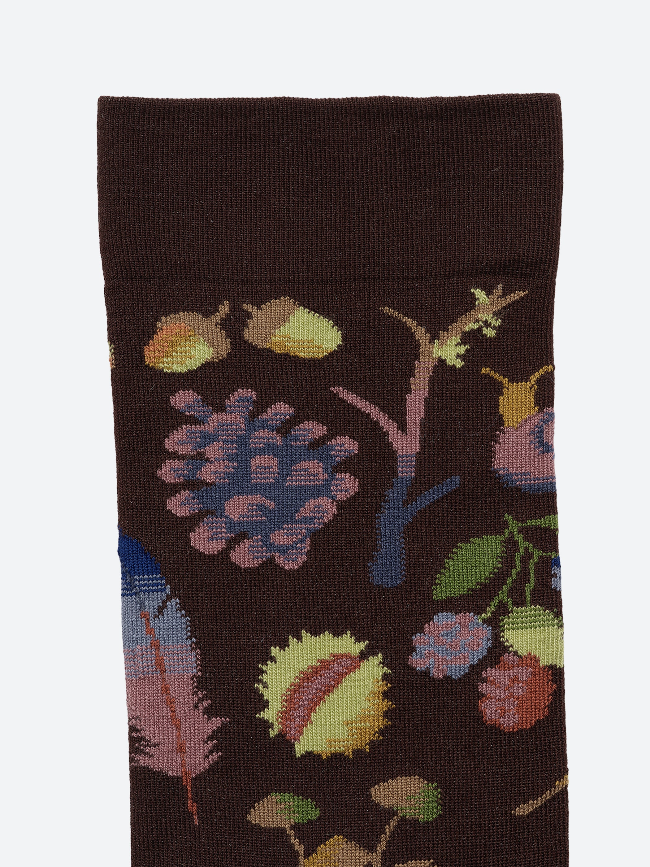 Le Bois Seedlings Socks