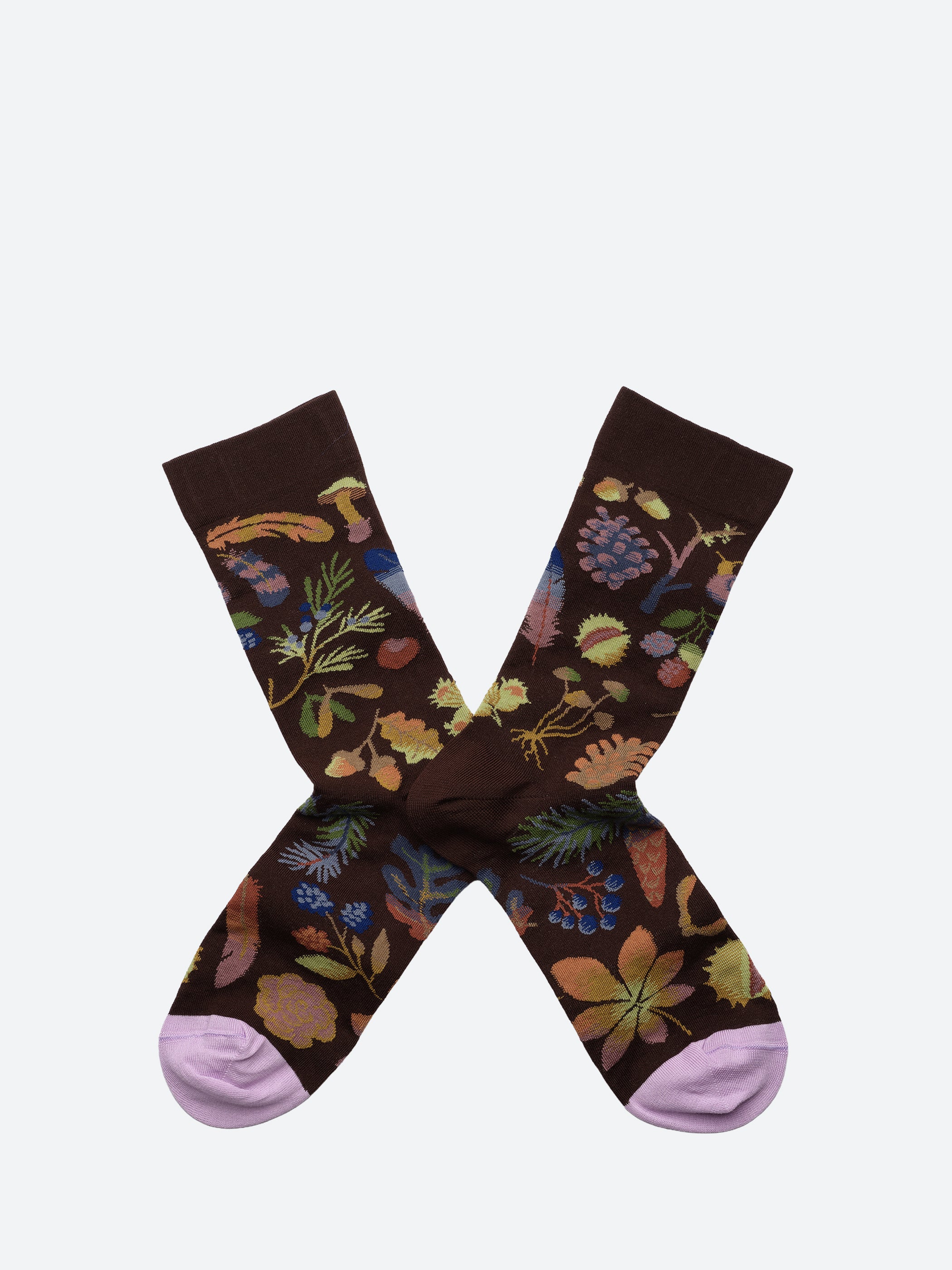 Le Bois Seedlings Socks