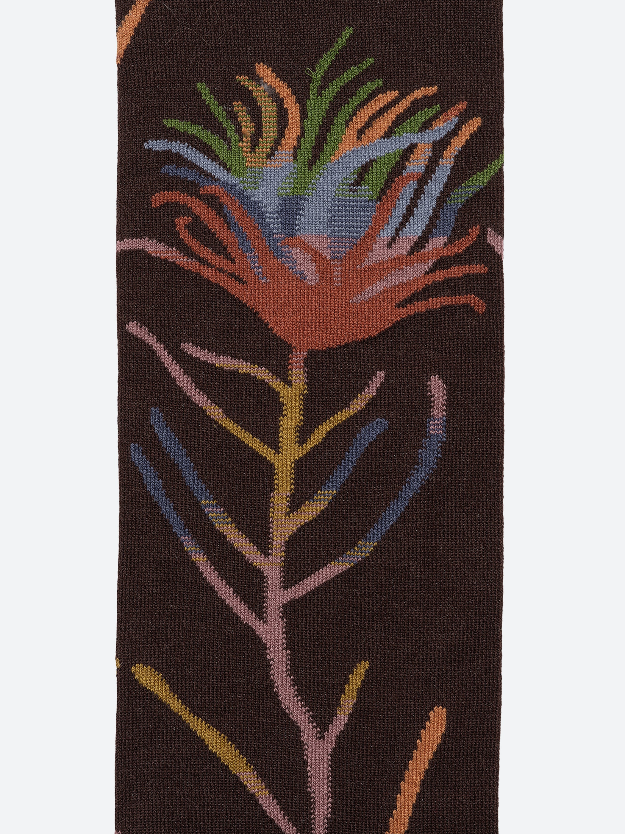 Le Bois Long Flower Socks