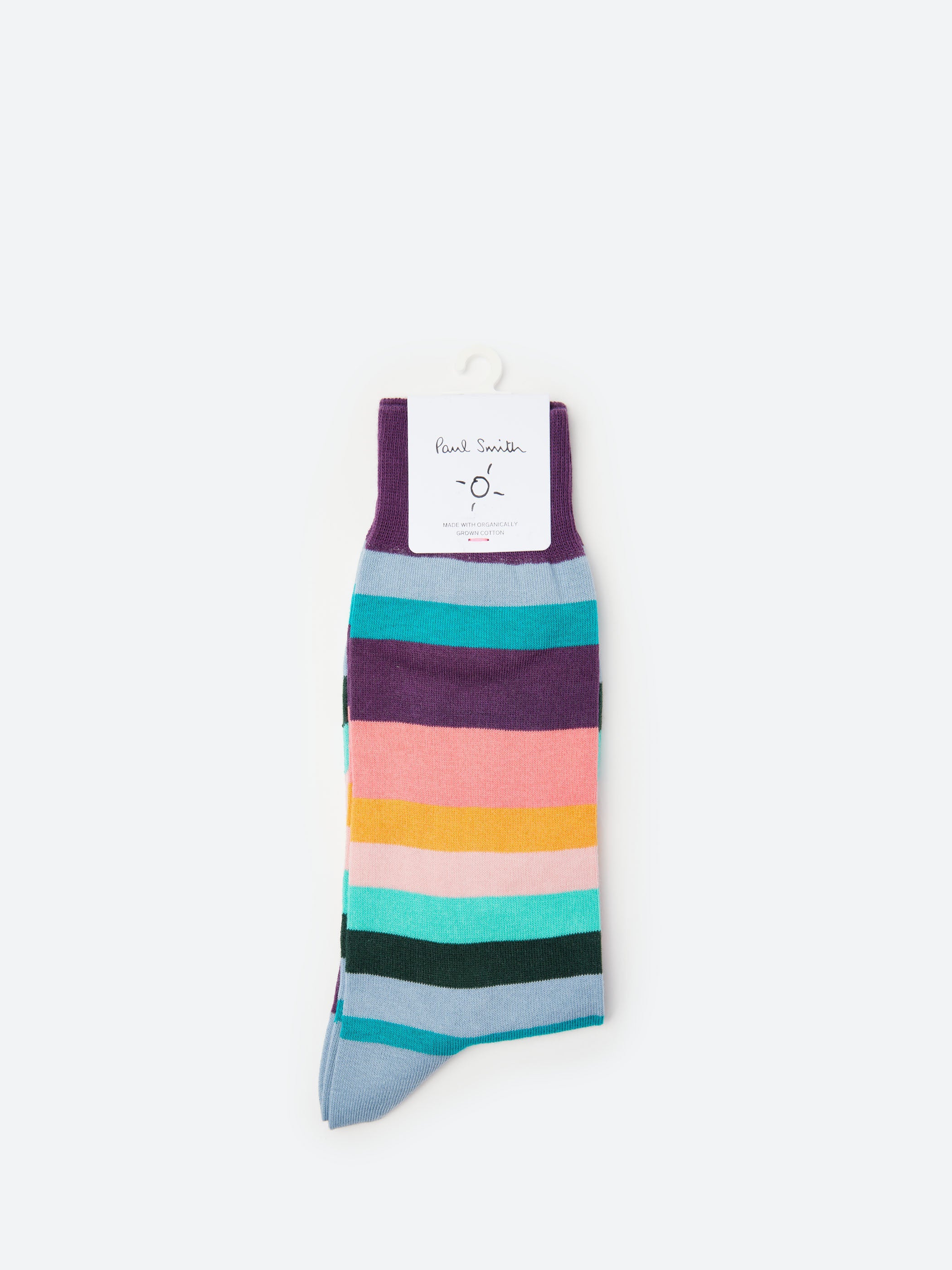 Artist Stripe Socks