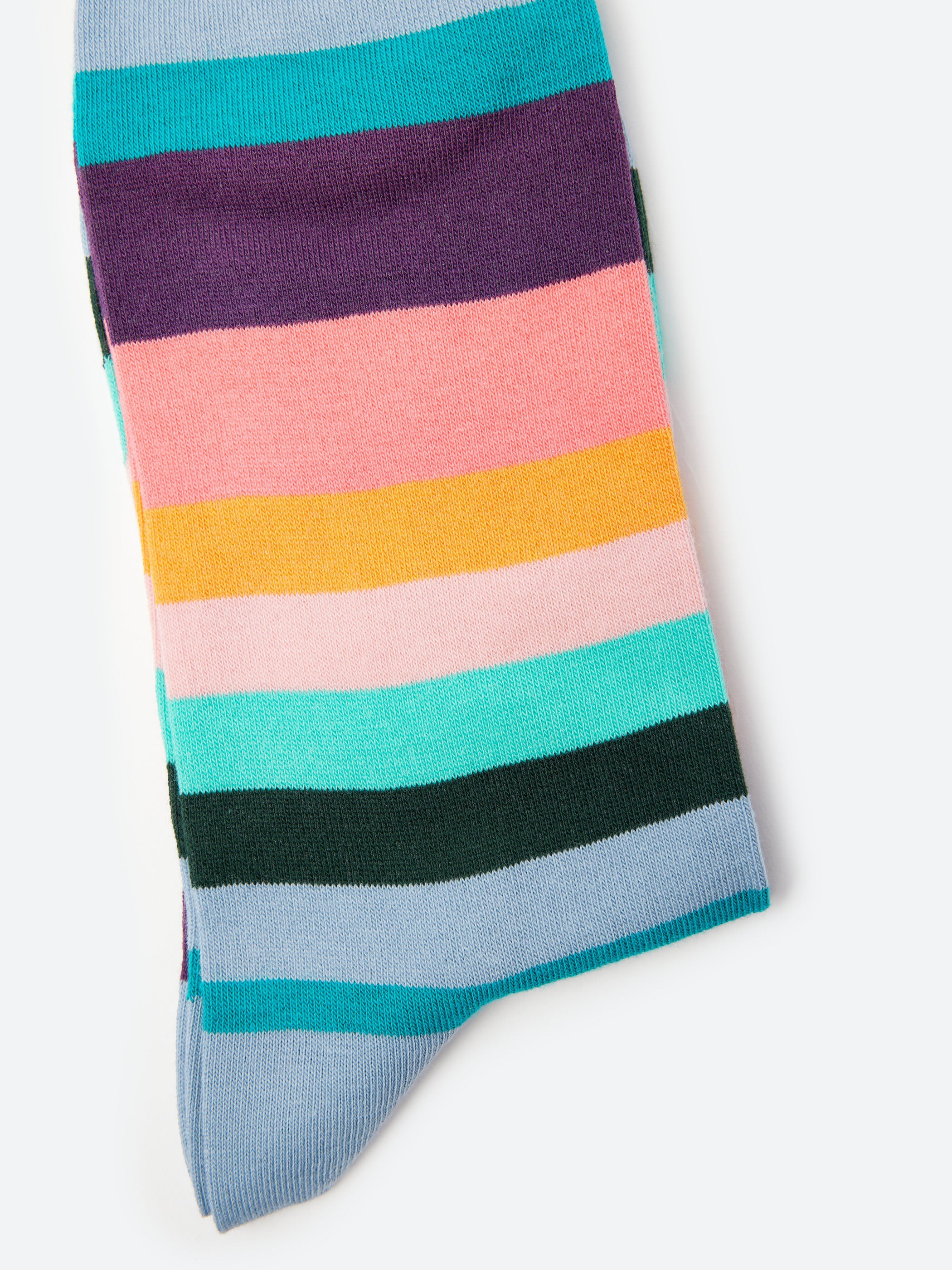 Artist Stripe Socks