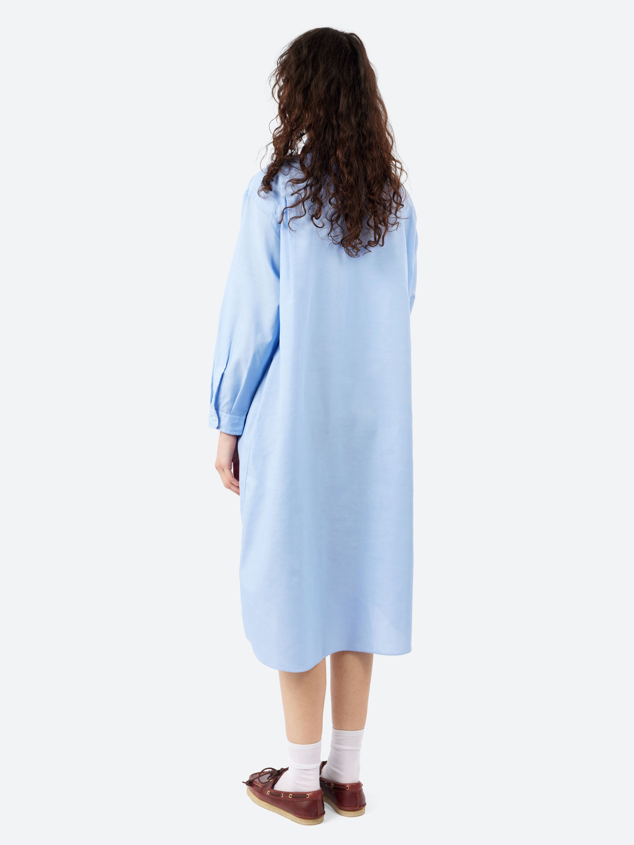 Oxford Classic Collar Dress