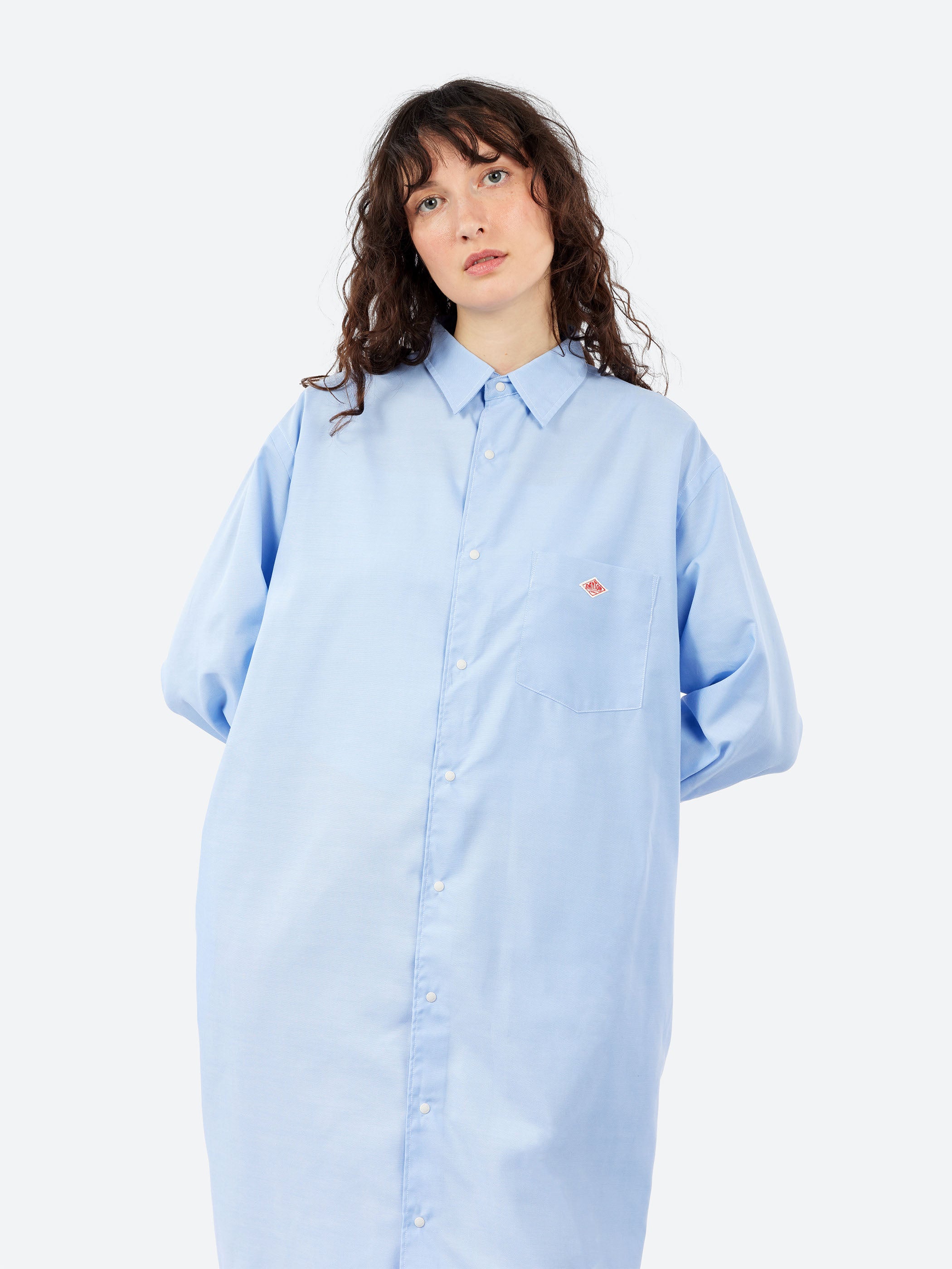 Oxford Classic Collar Dress