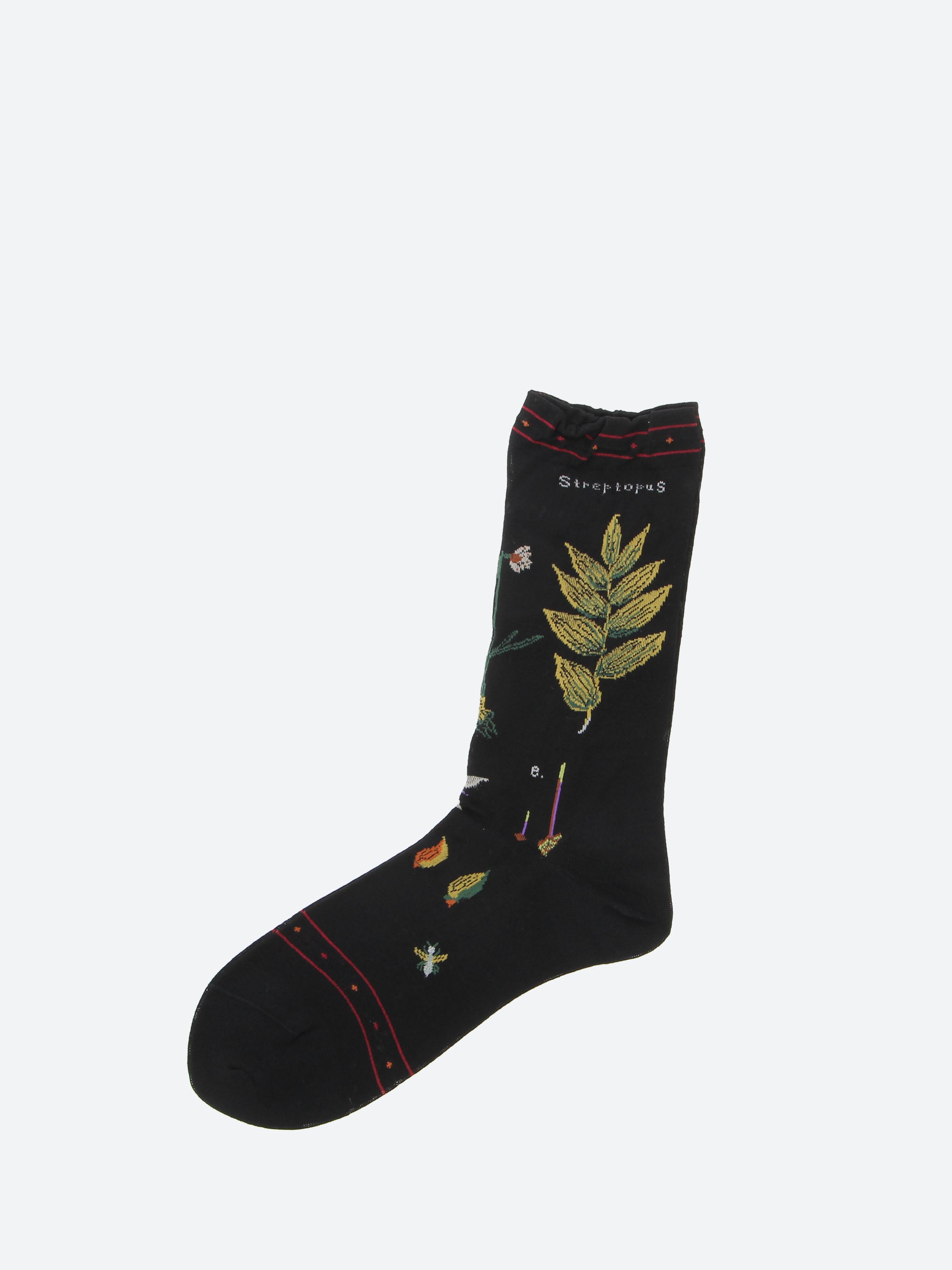 Botanical XVII