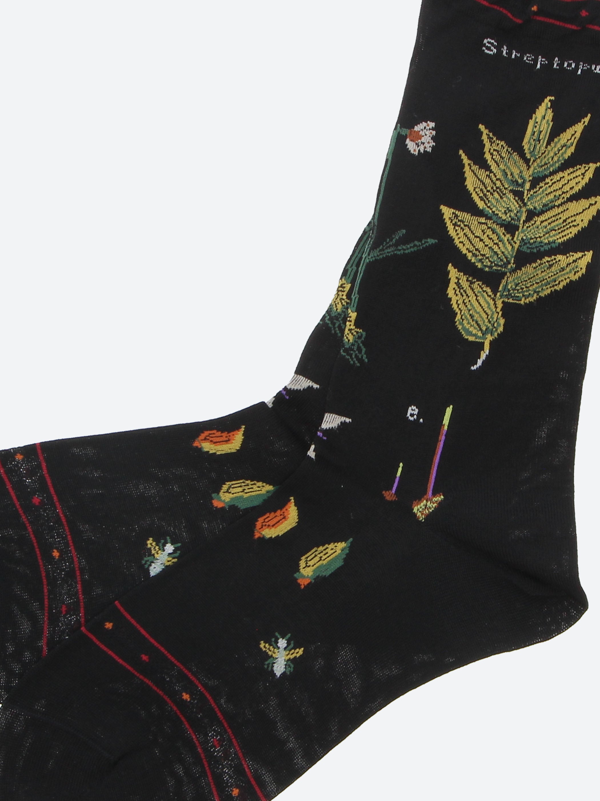 Botanical XVII