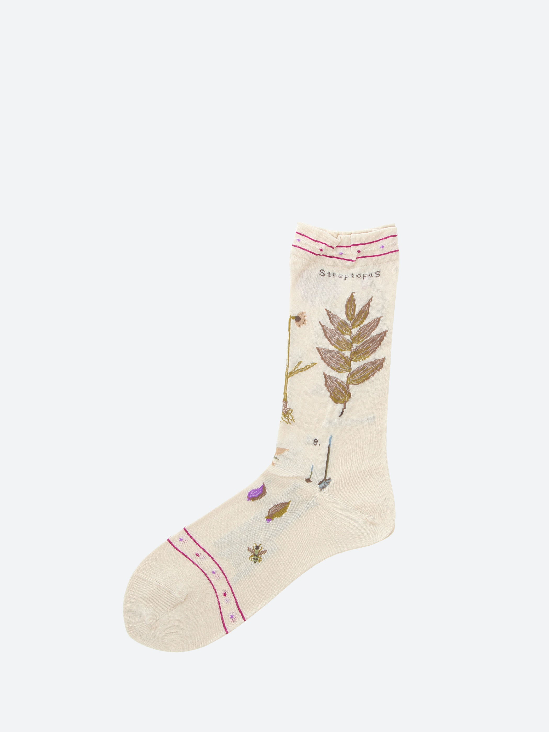 Botanical XVII